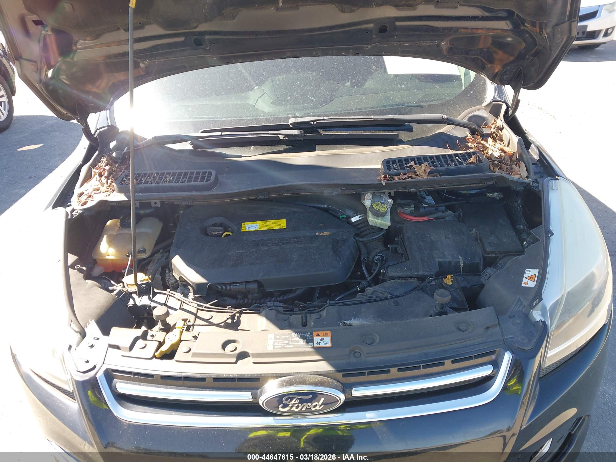 FORD ESCAPE image 10