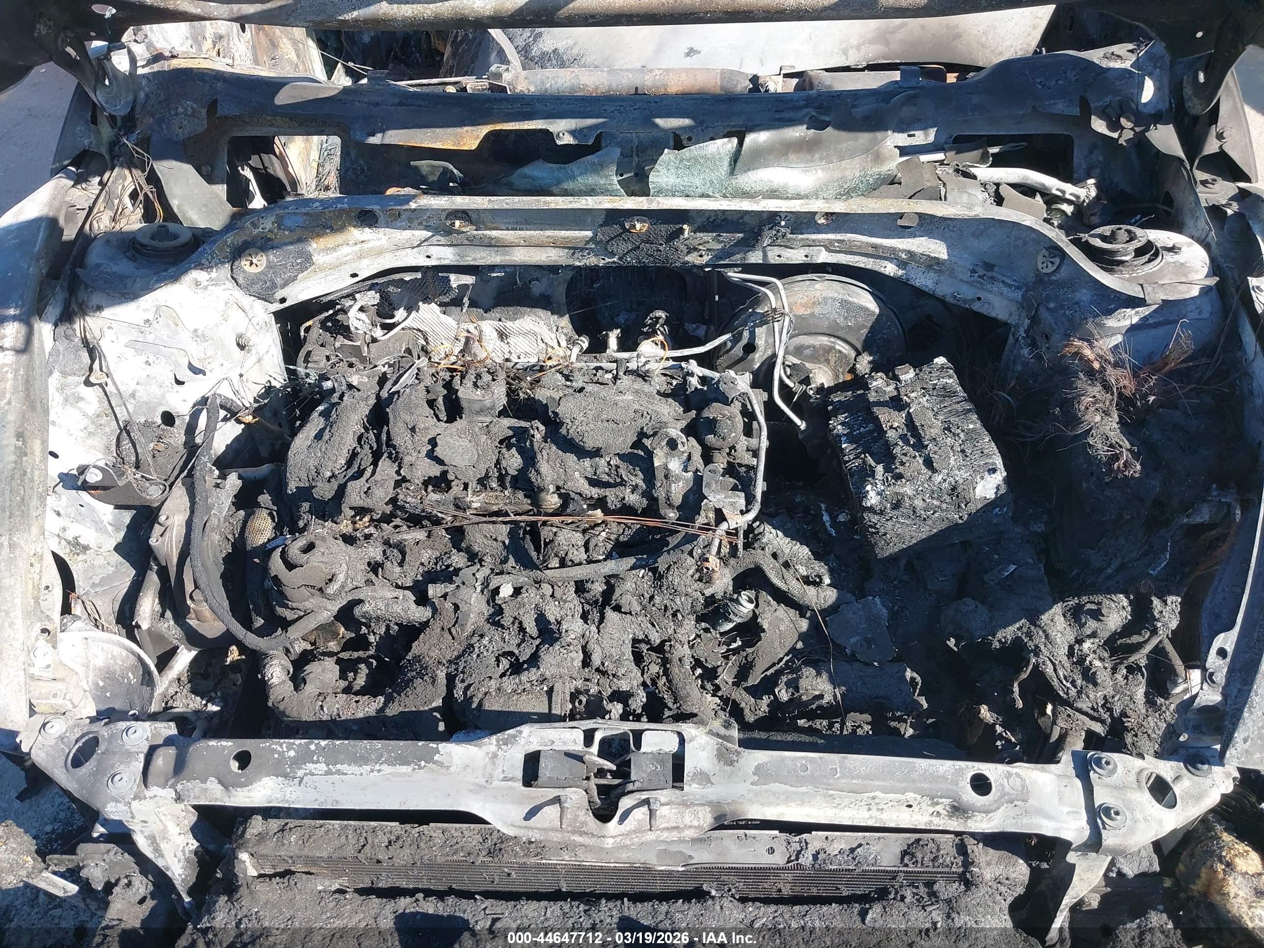 VOLKSWAGEN BEETLE image 10