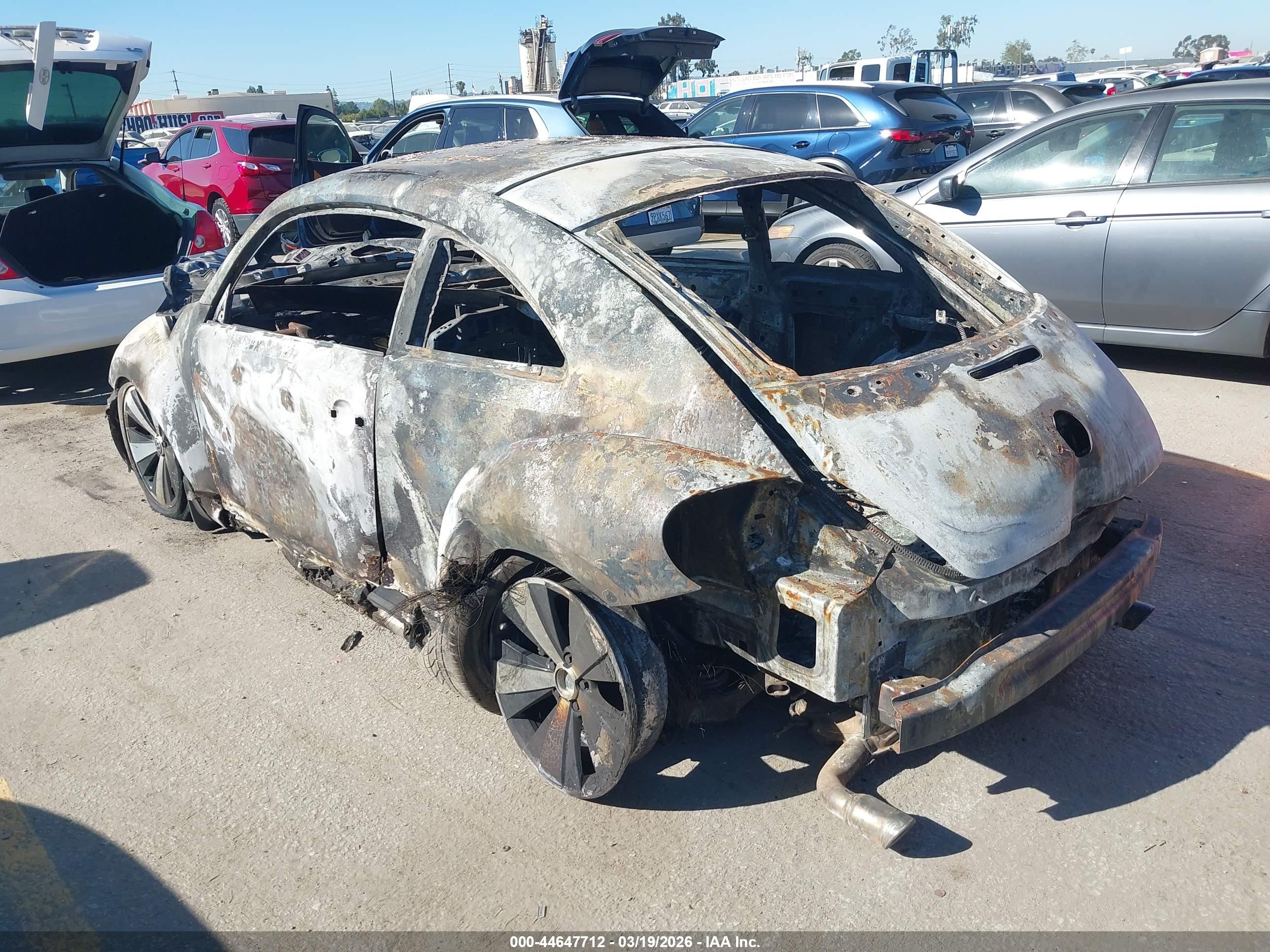 VOLKSWAGEN BEETLE image 3
