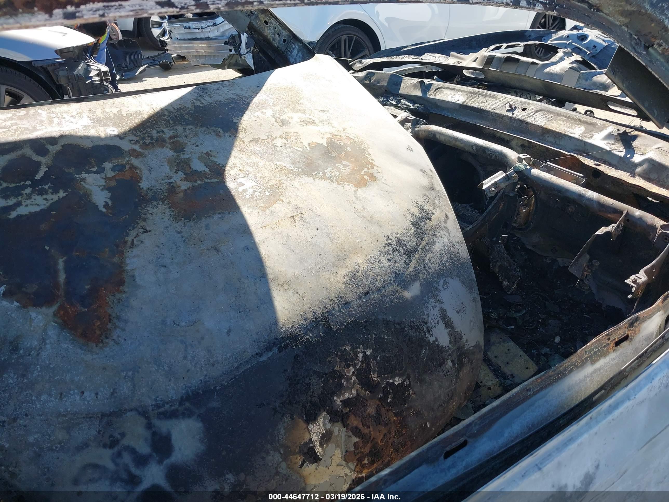 VOLKSWAGEN BEETLE image 5