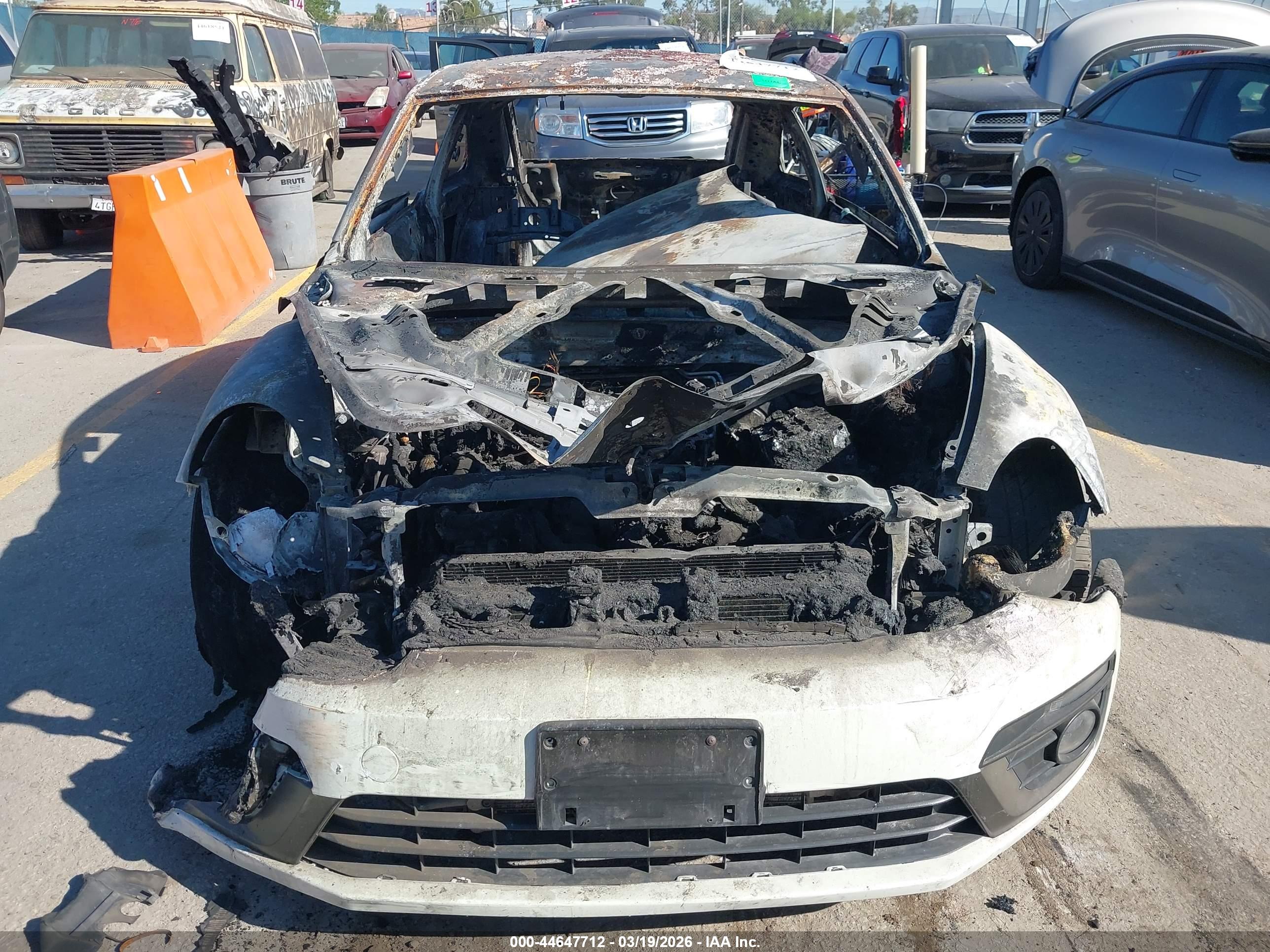 VOLKSWAGEN BEETLE image 6