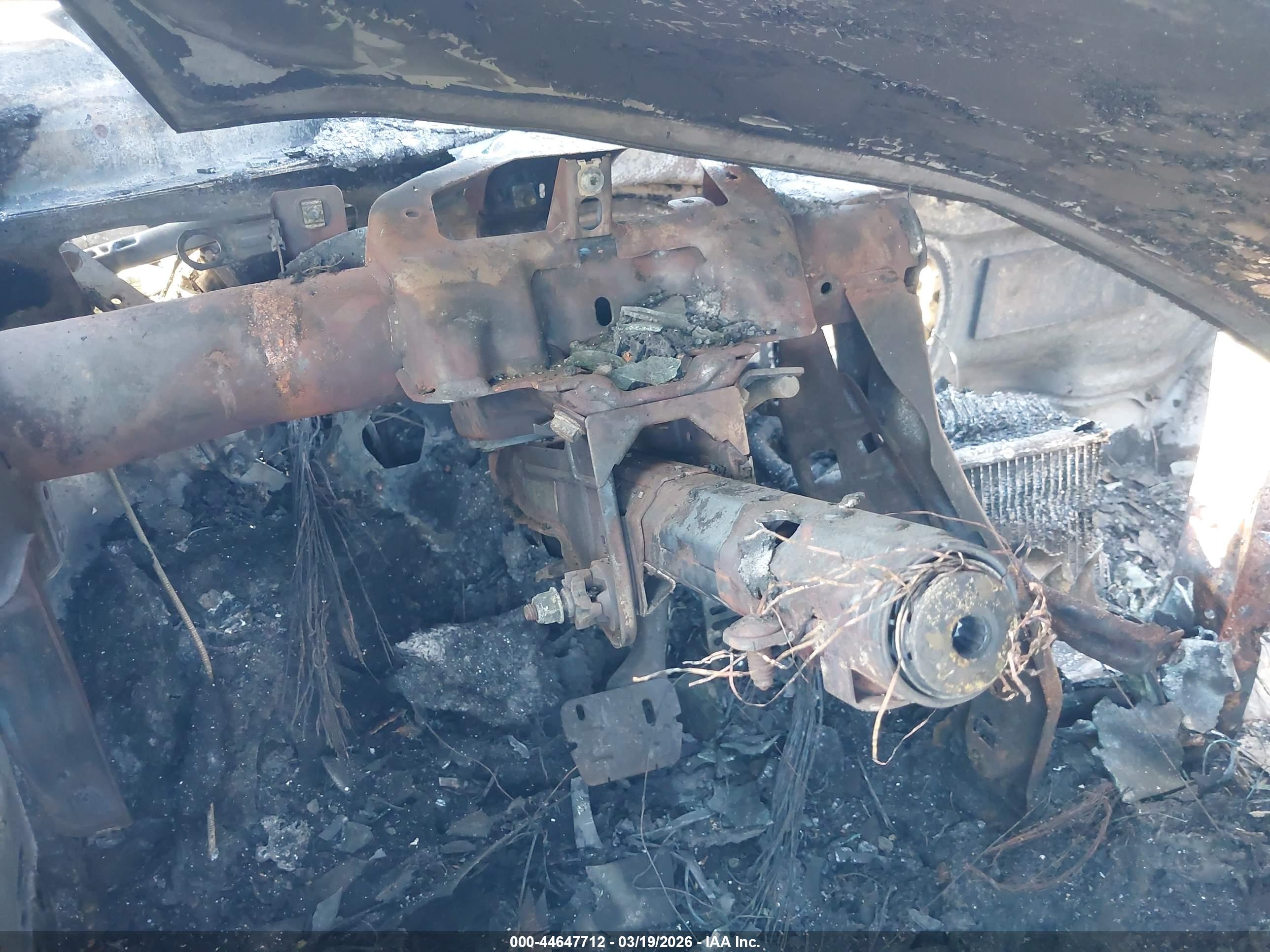 VOLKSWAGEN BEETLE image 7