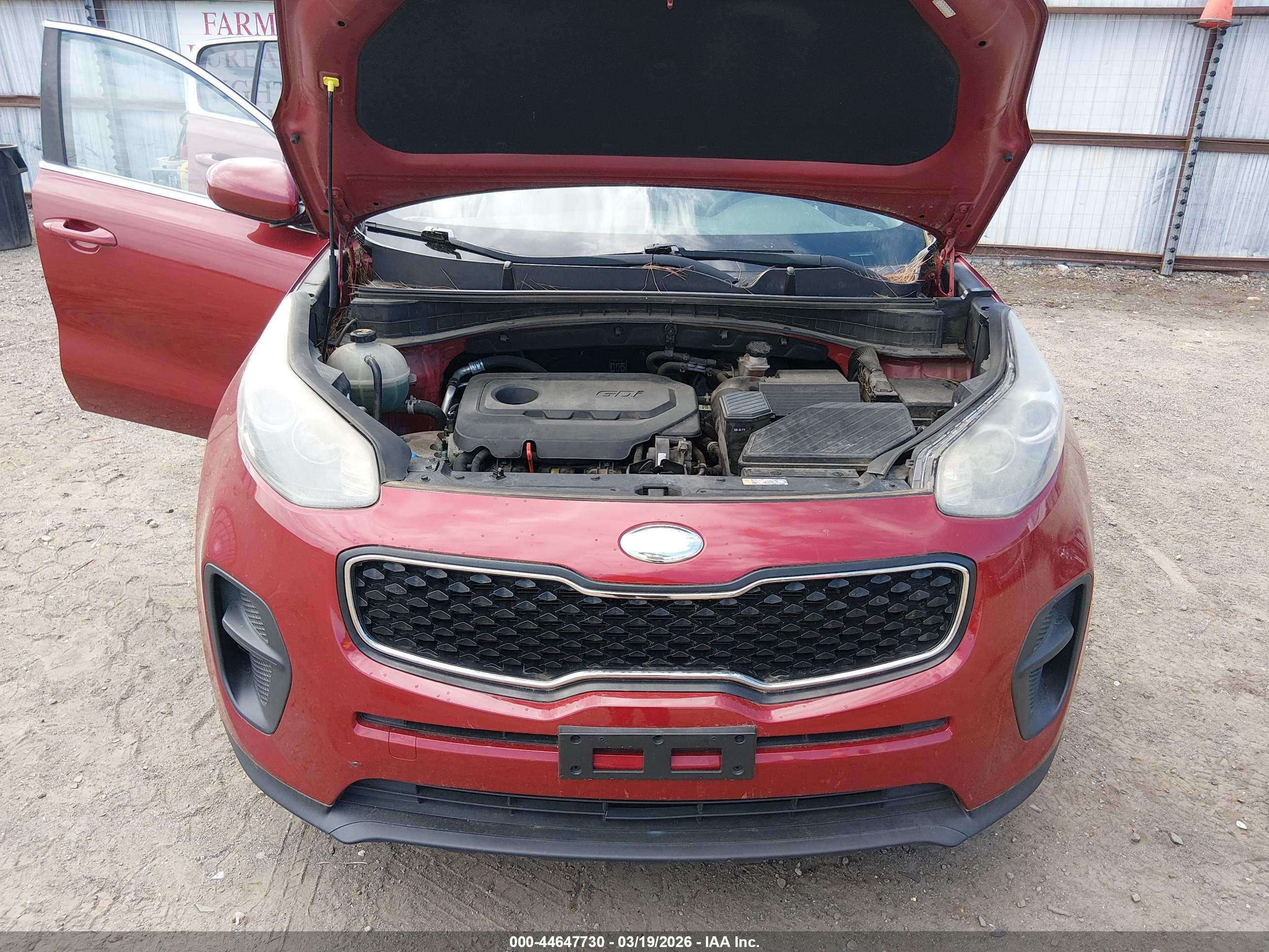KIA SPORTAGE image 10