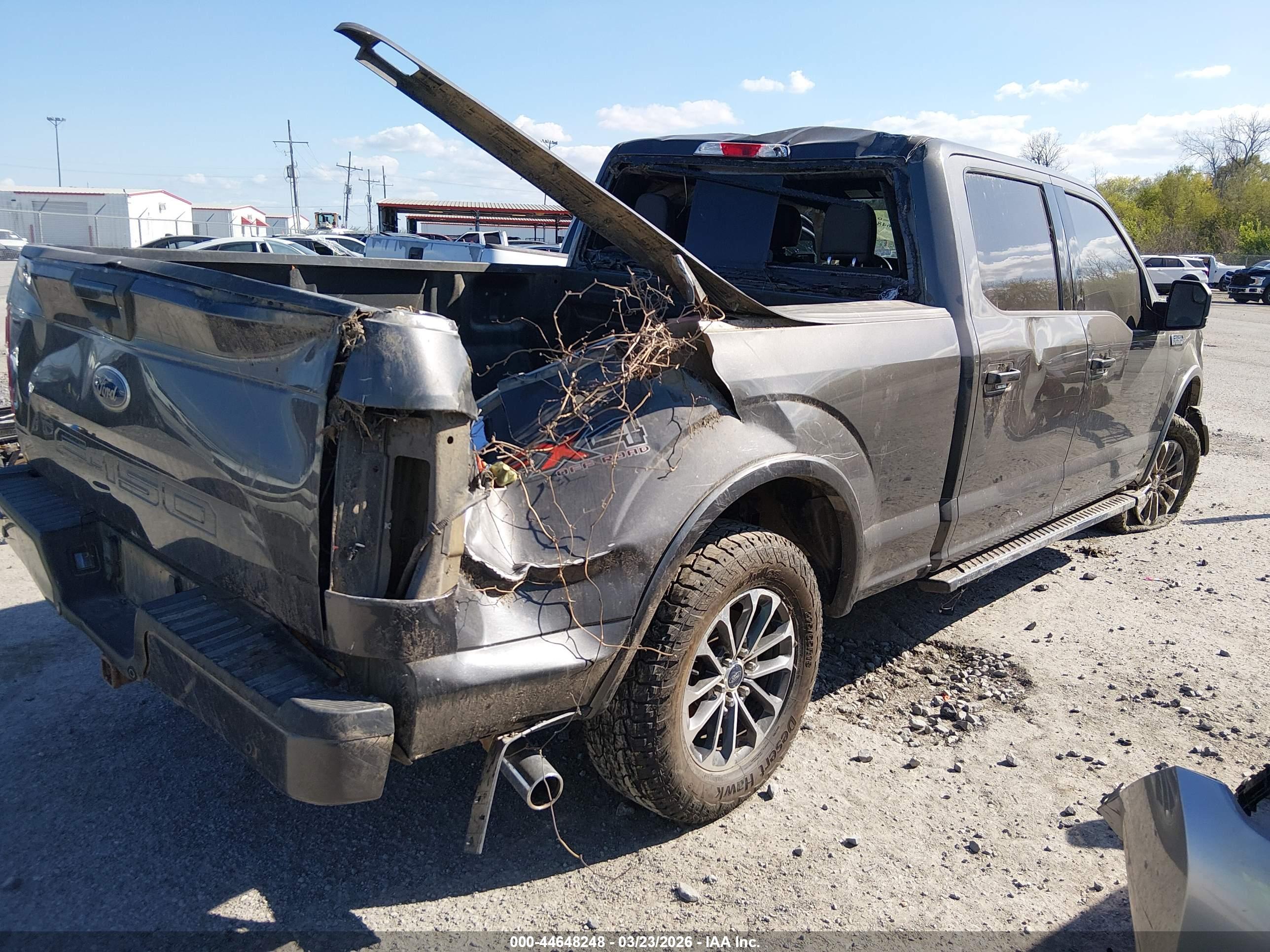 FORD F-150 image 4