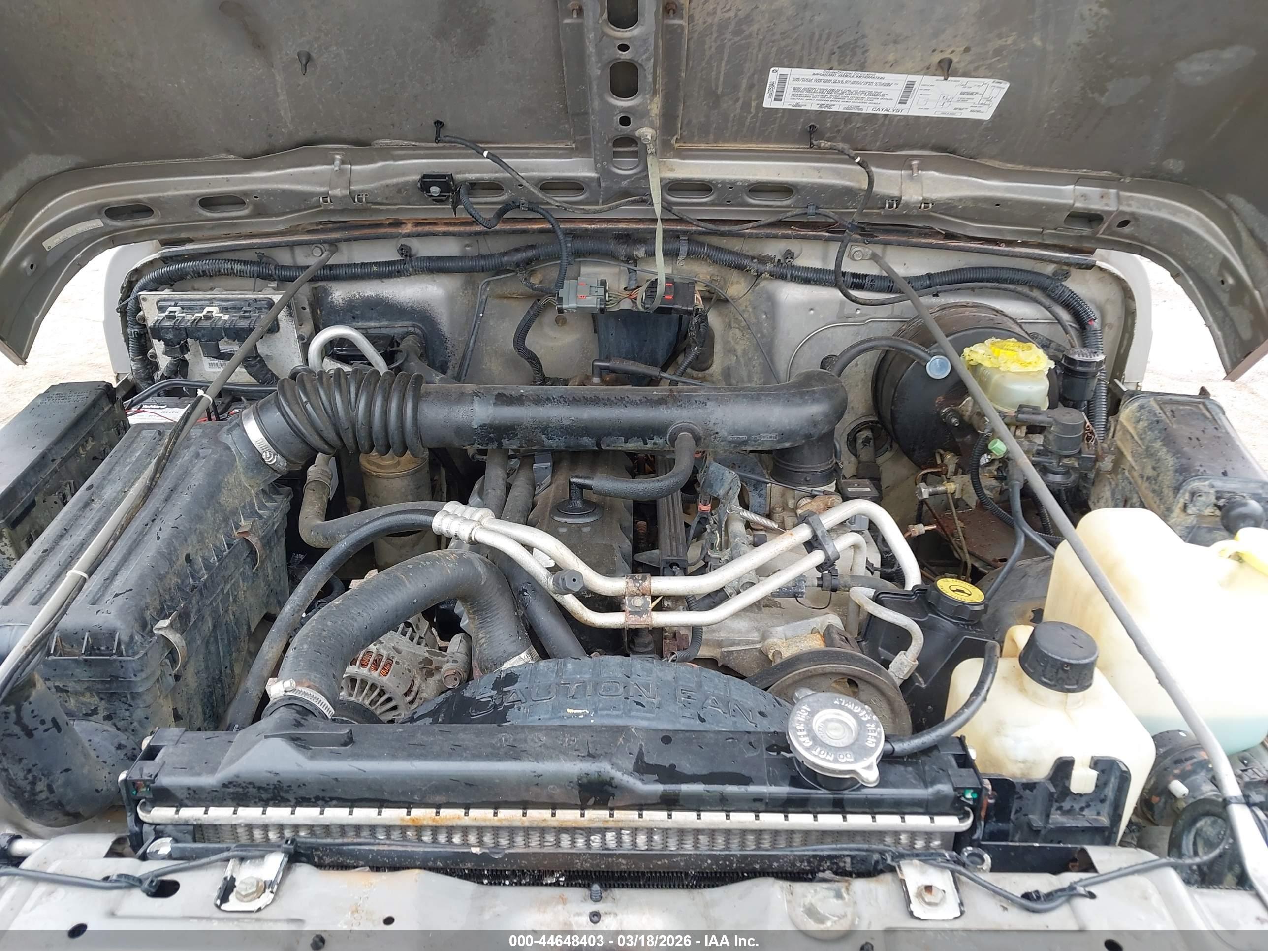 JEEP WRANGLER image 10