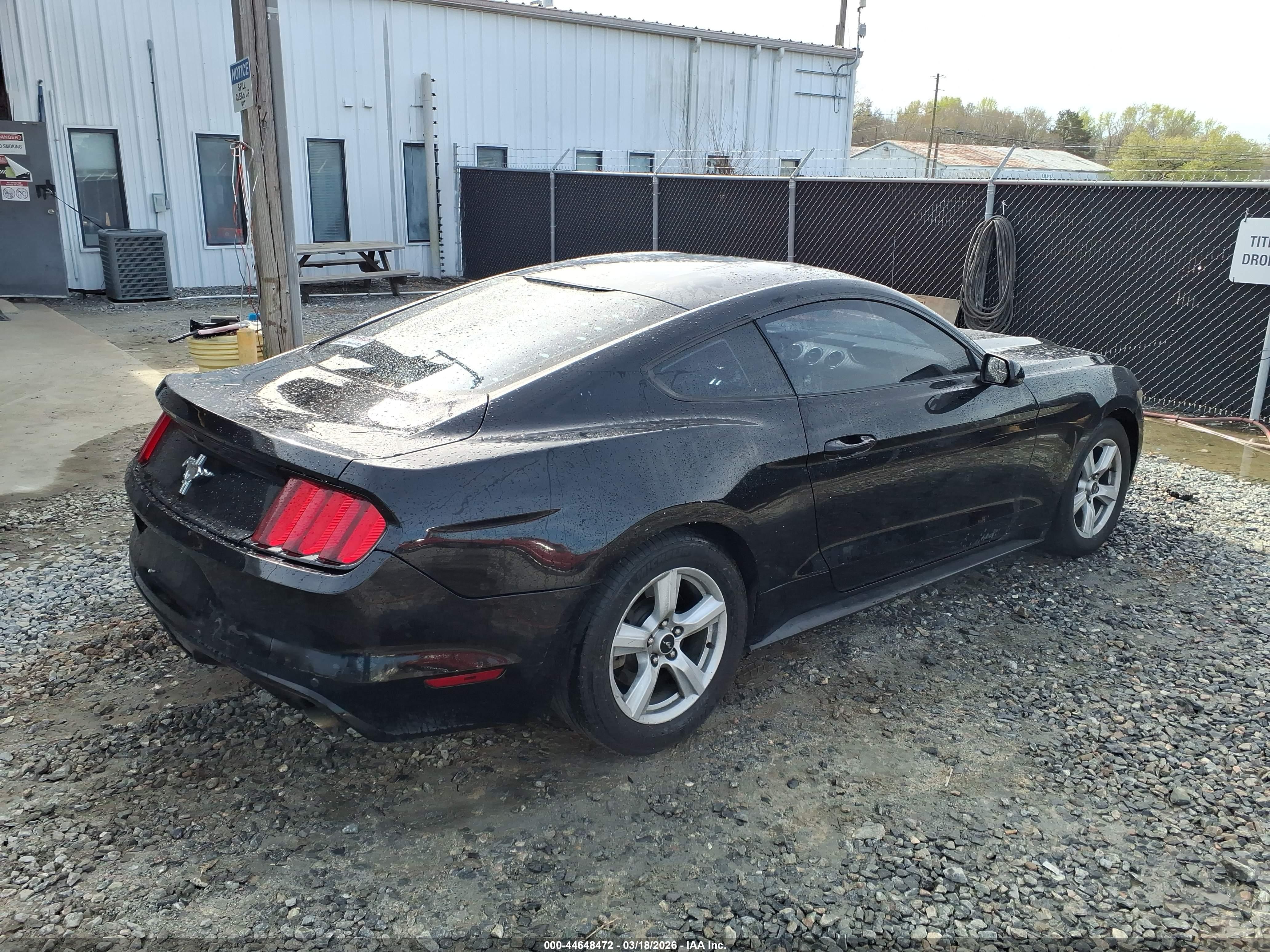 FORD MUSTANG image 4