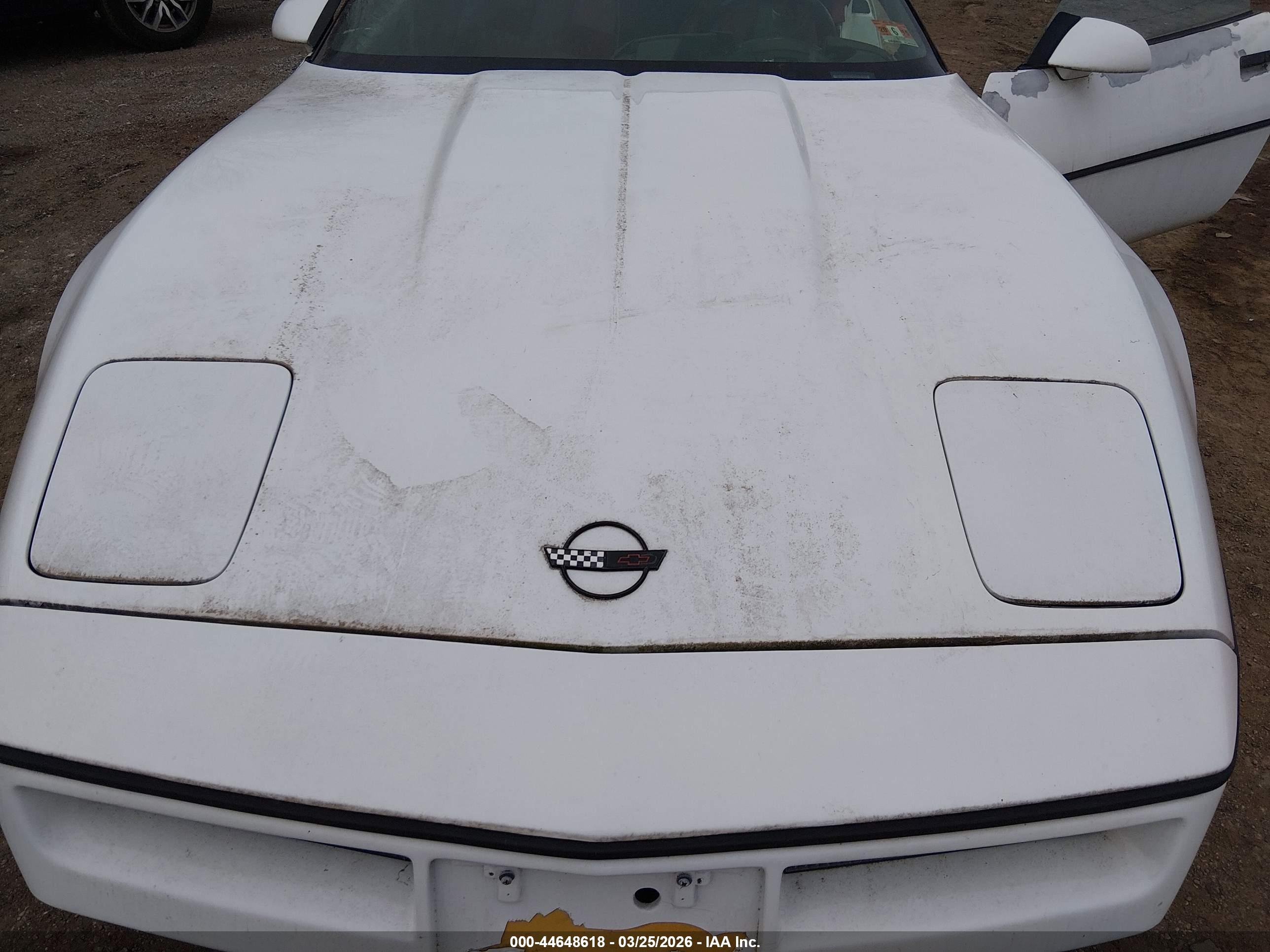 CHEVROLET CORVETTE image 10