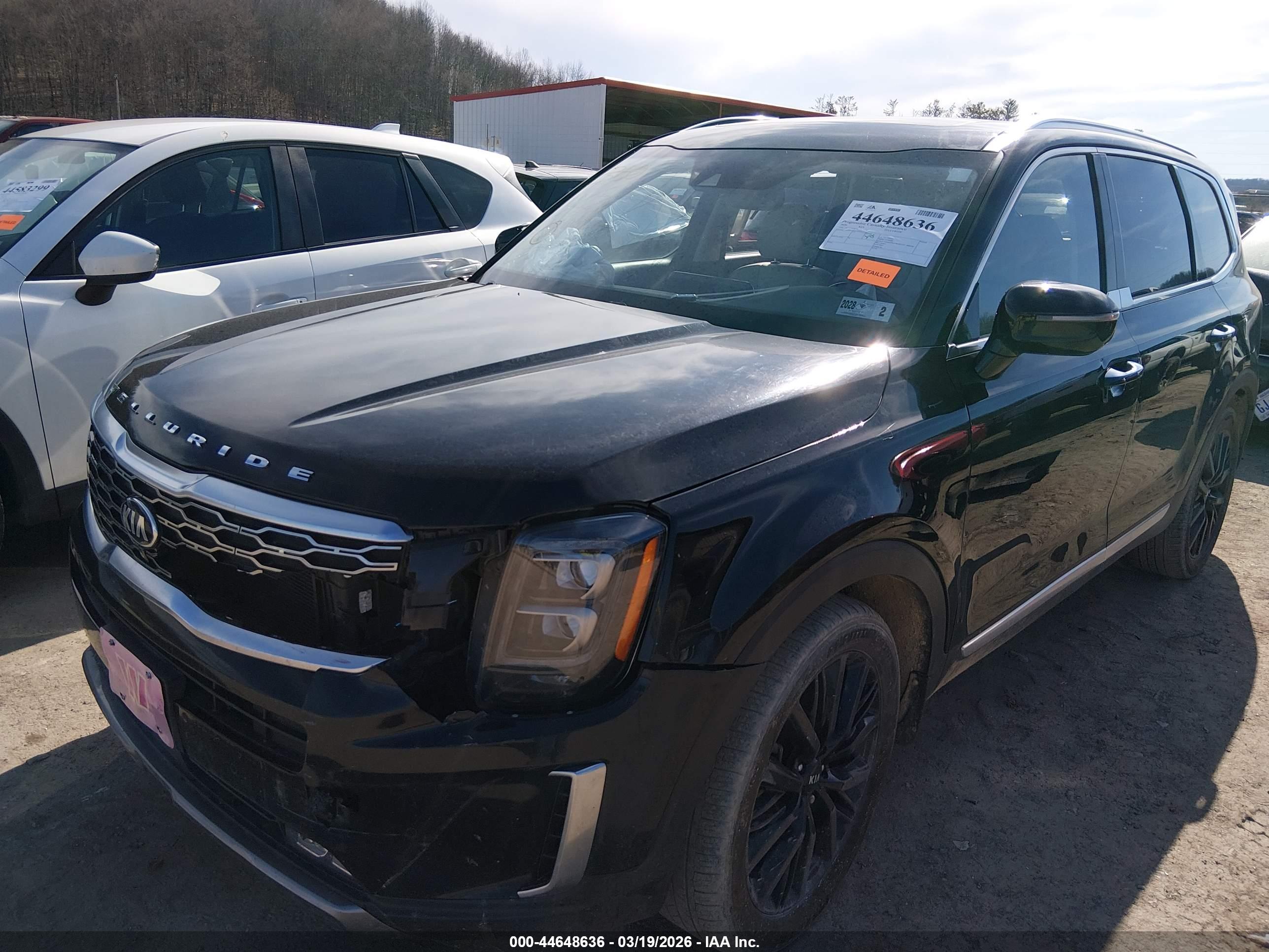 KIA TELLURIDE image 2