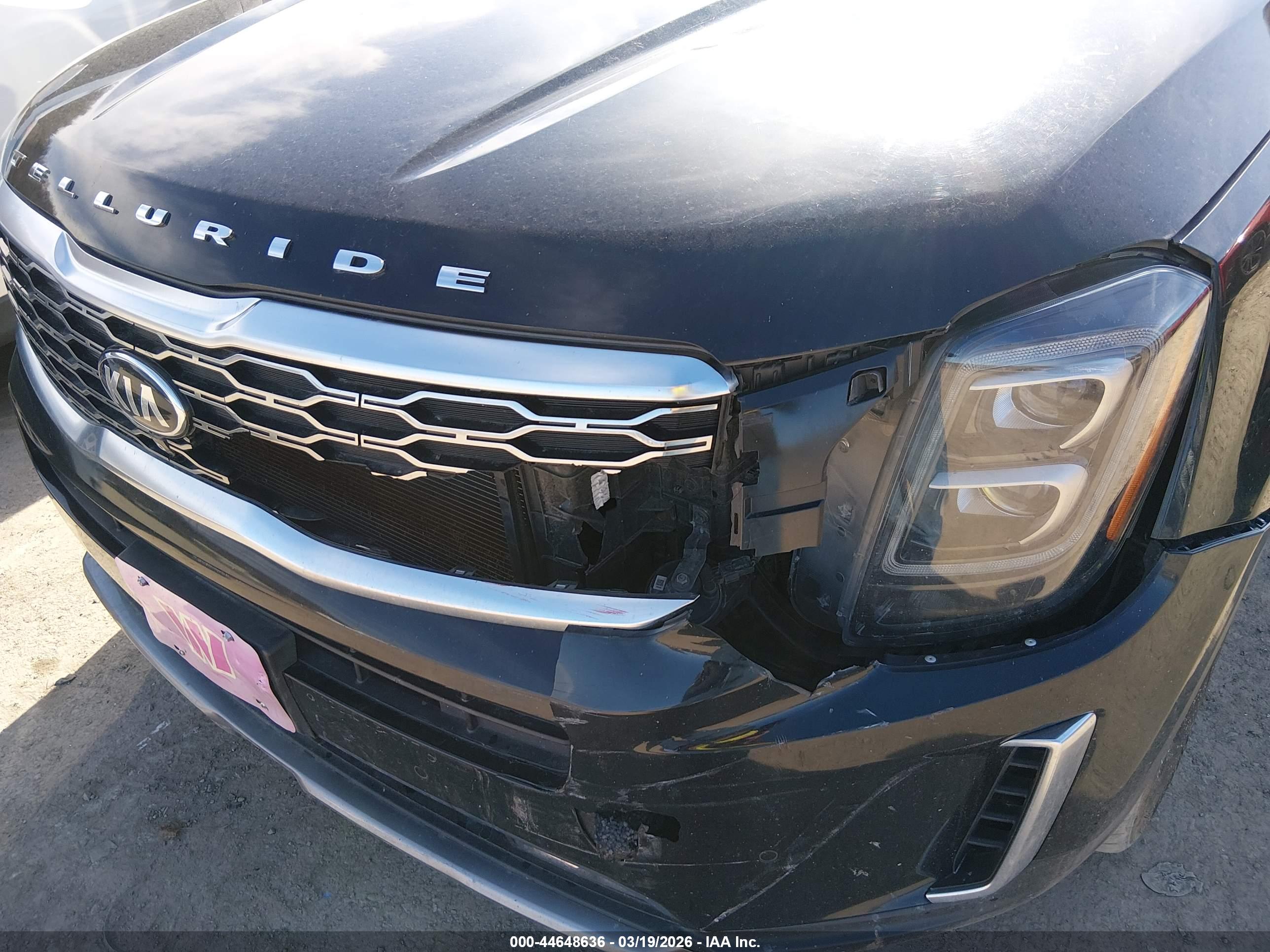 KIA TELLURIDE image 6