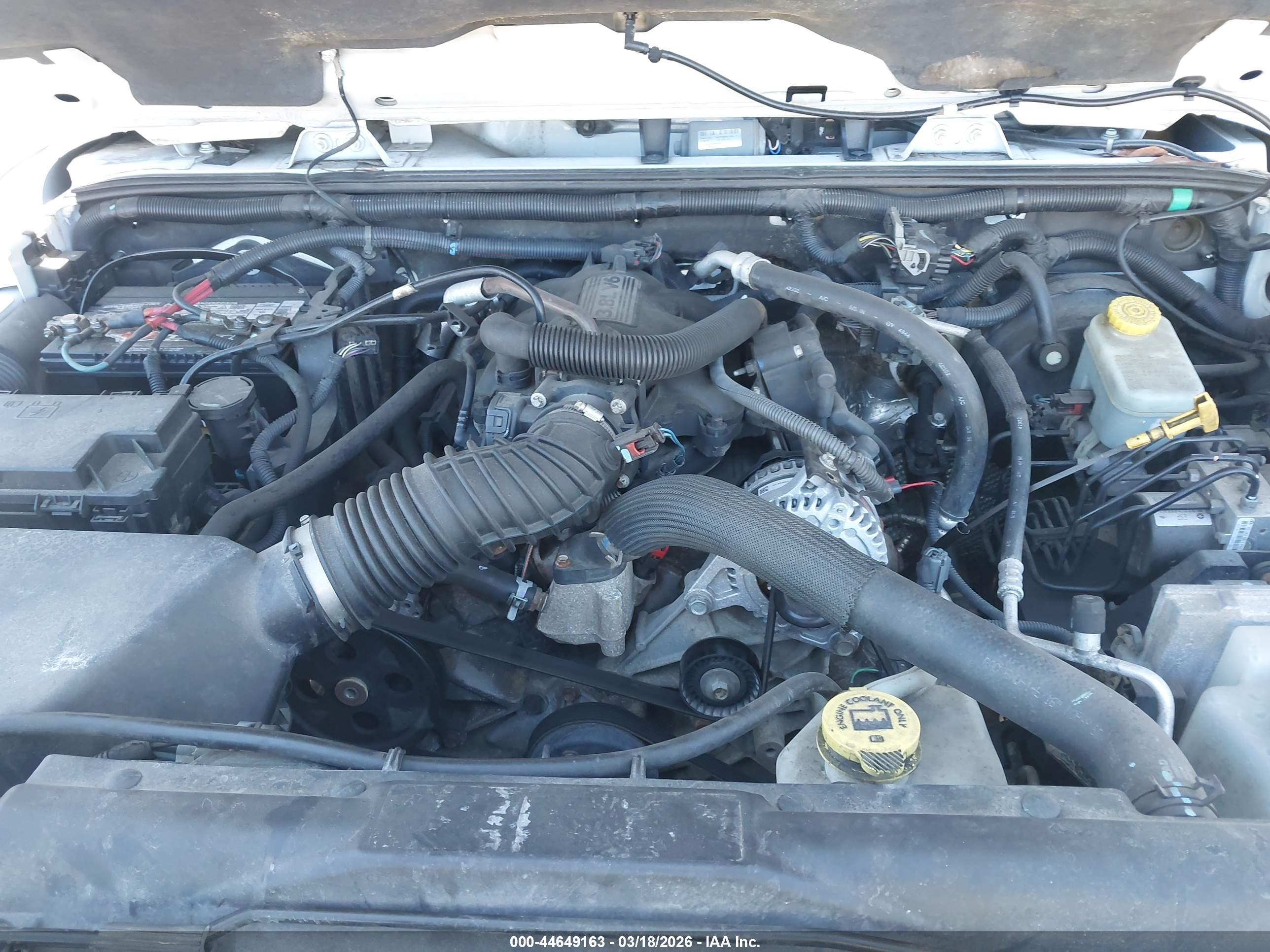 JEEP WRANGLER image 10