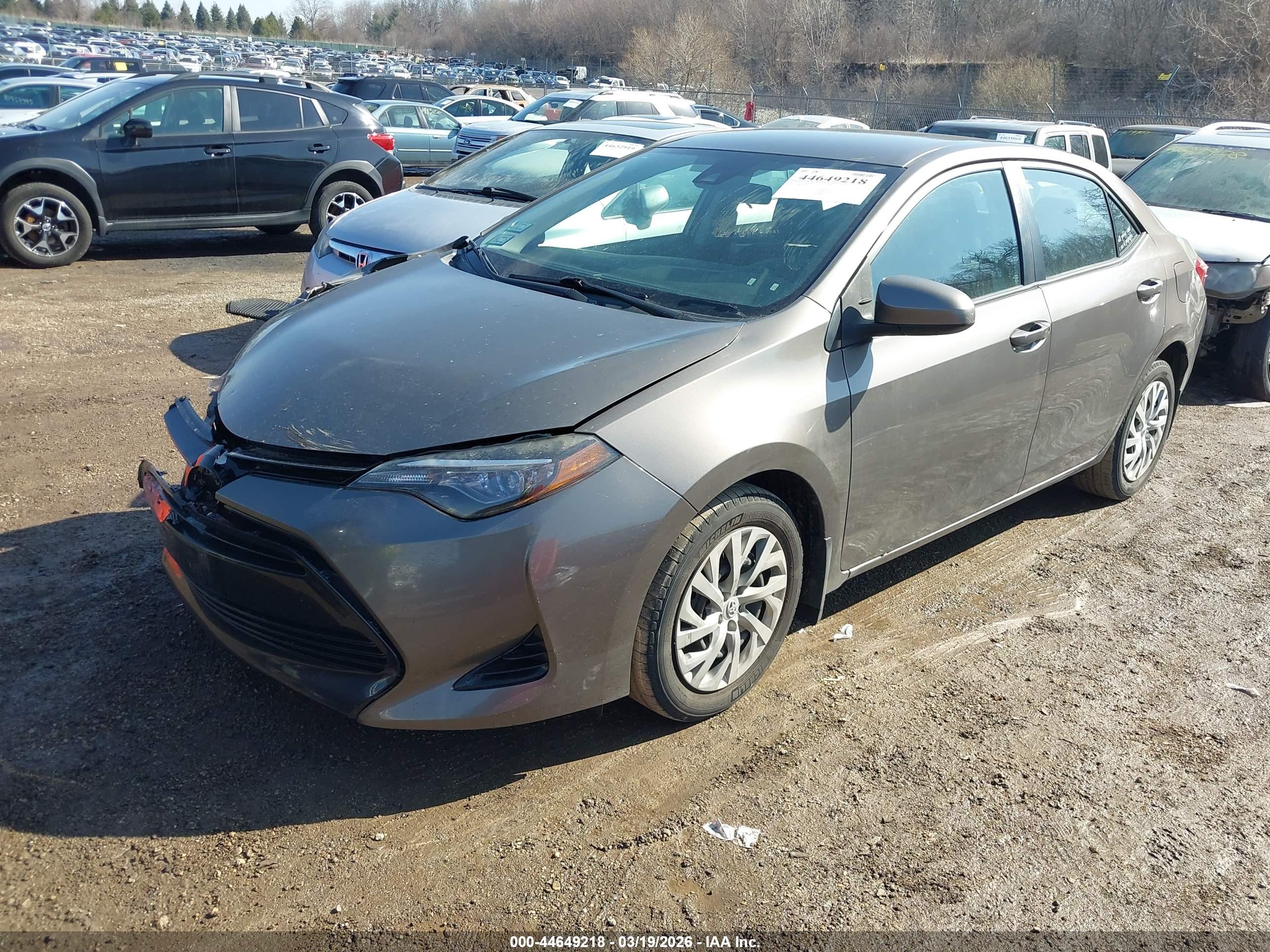 TOYOTA COROLLA image 2