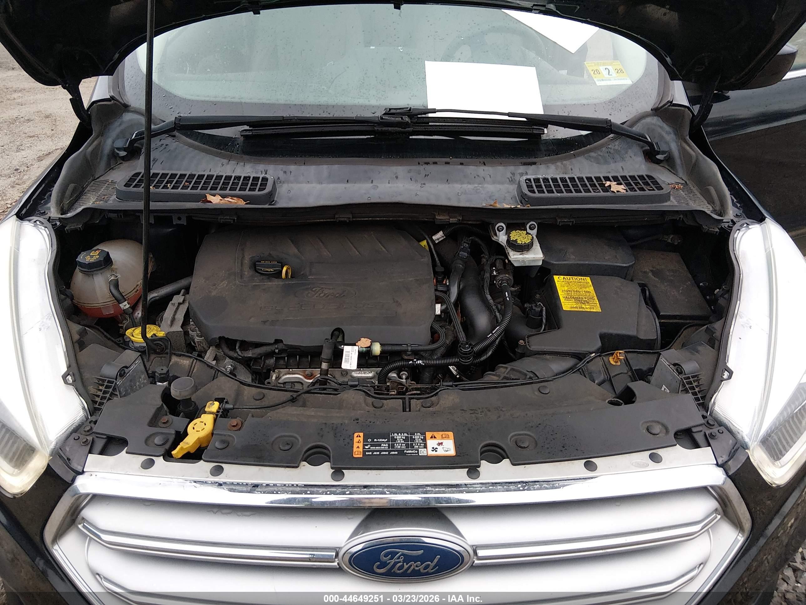 FORD ESCAPE image 10