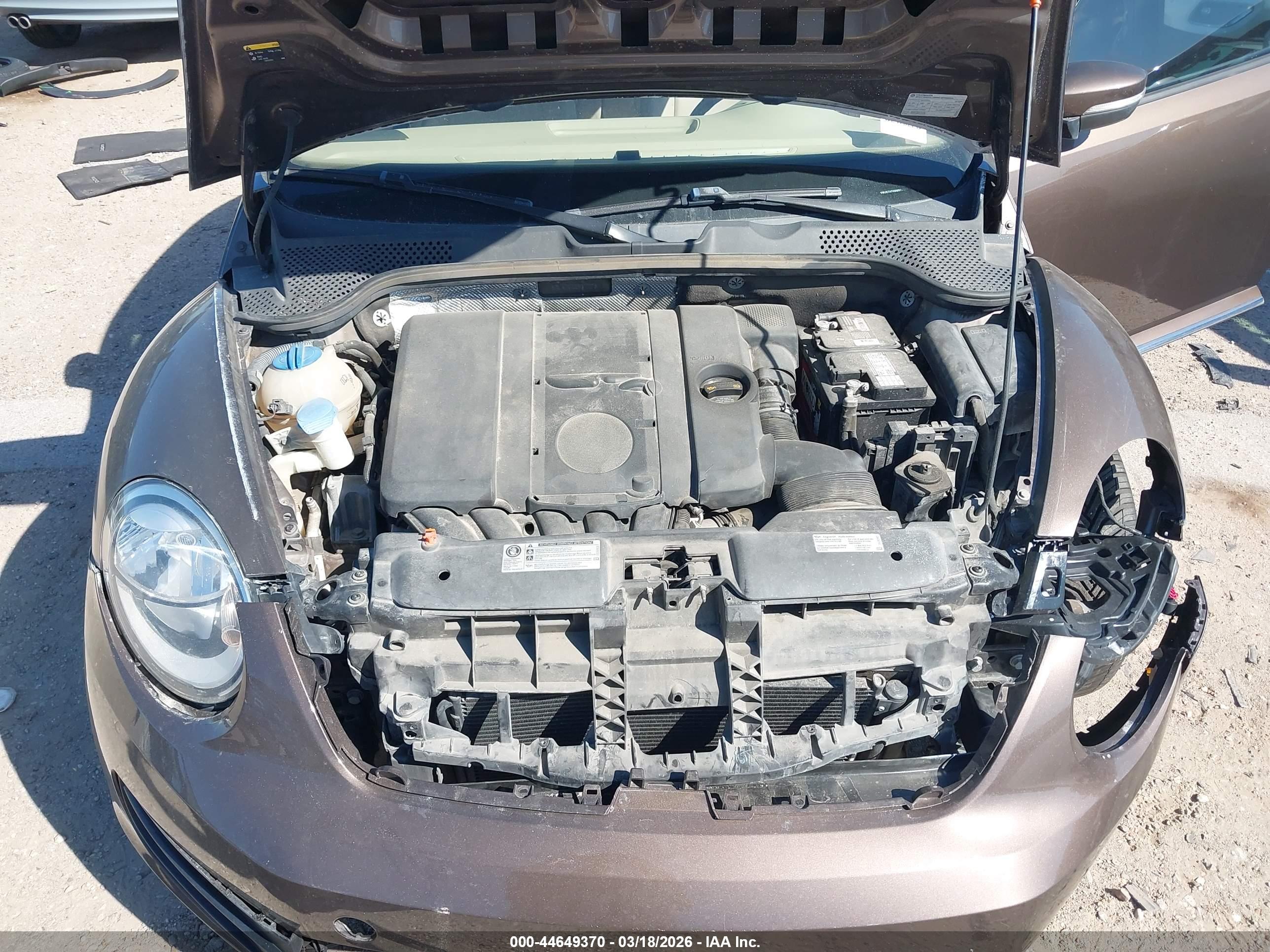 VOLKSWAGEN BEETLE image 10