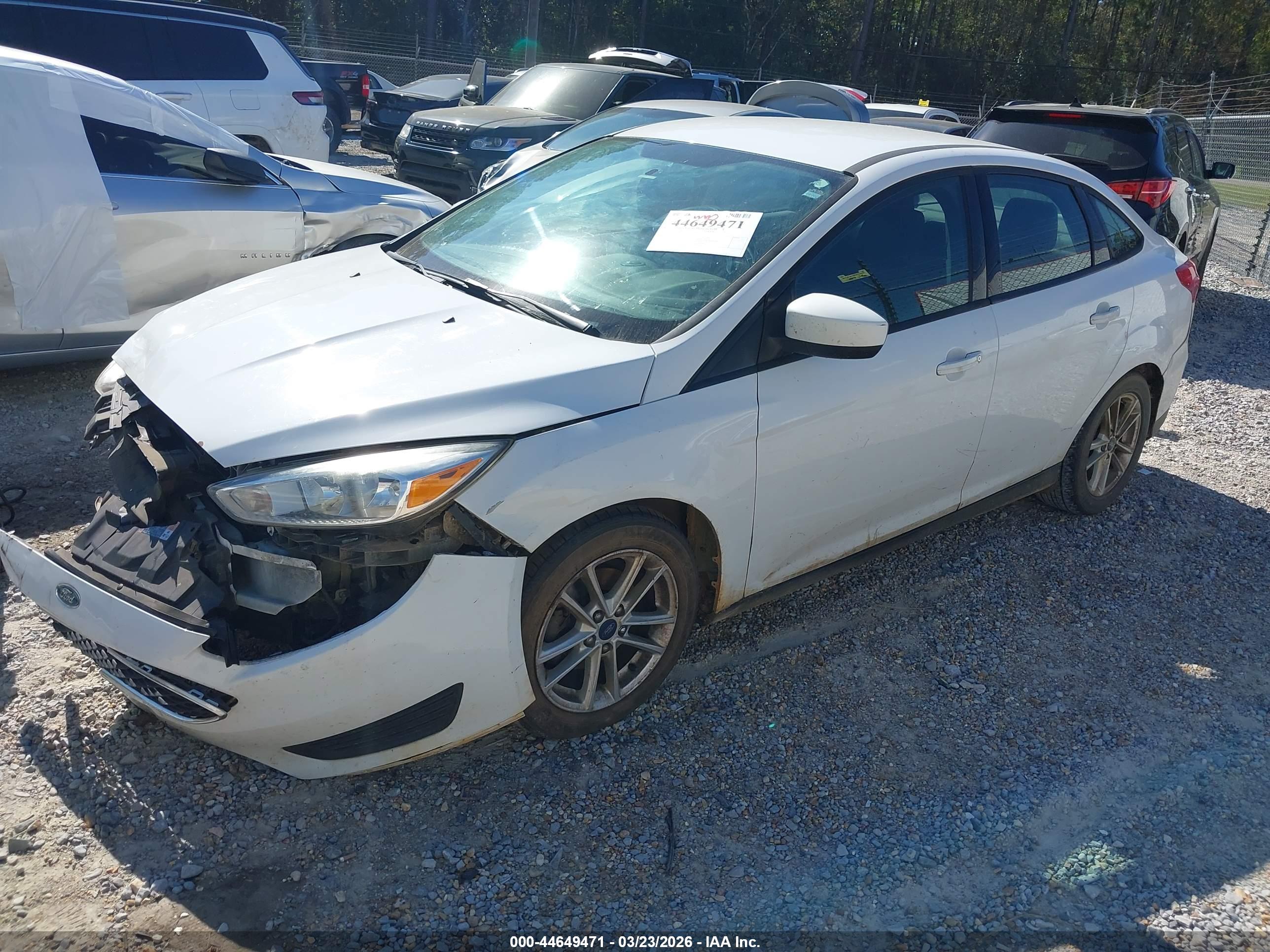FORD FOCUS image 2