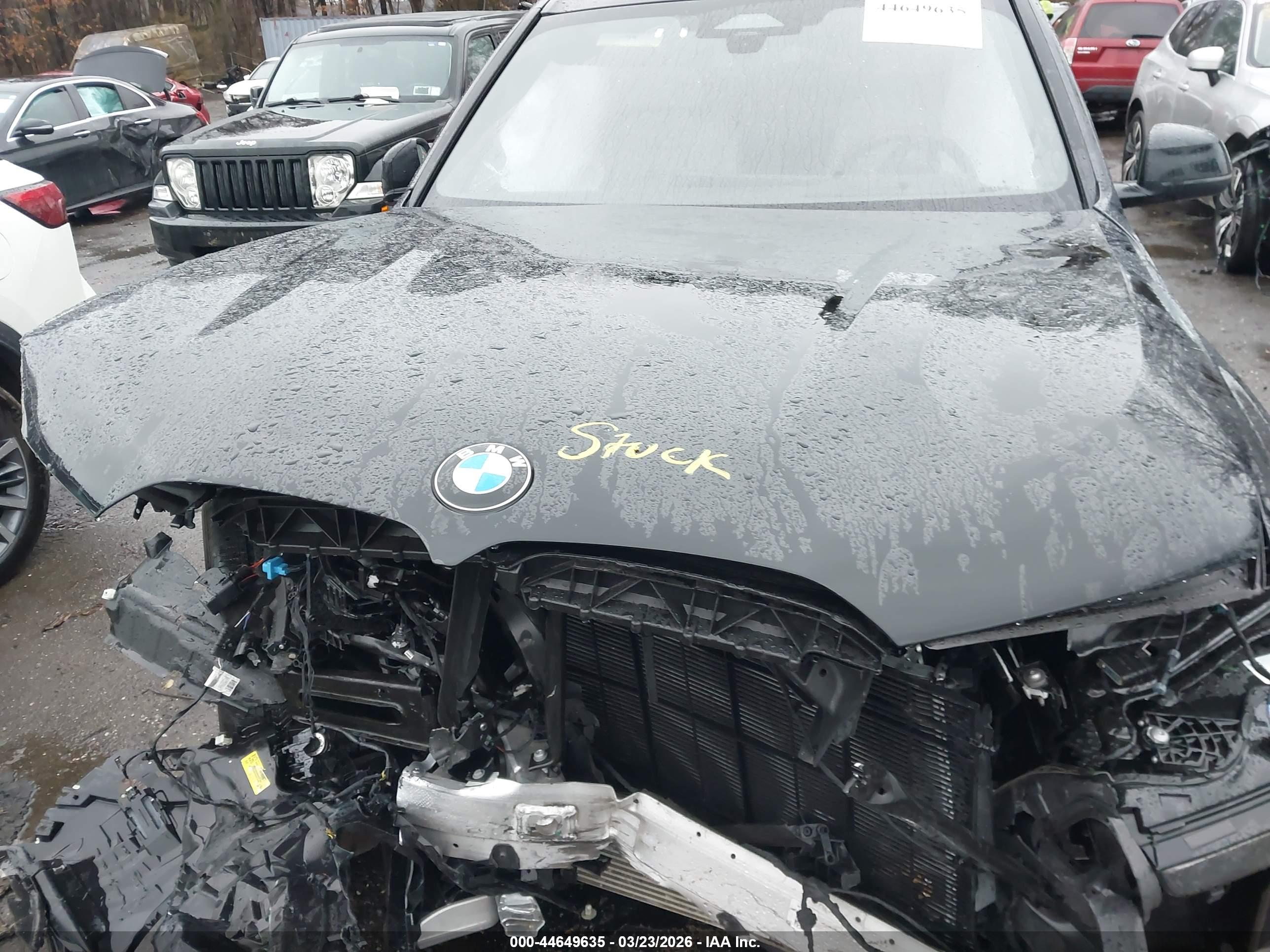 BMW X7 image 10