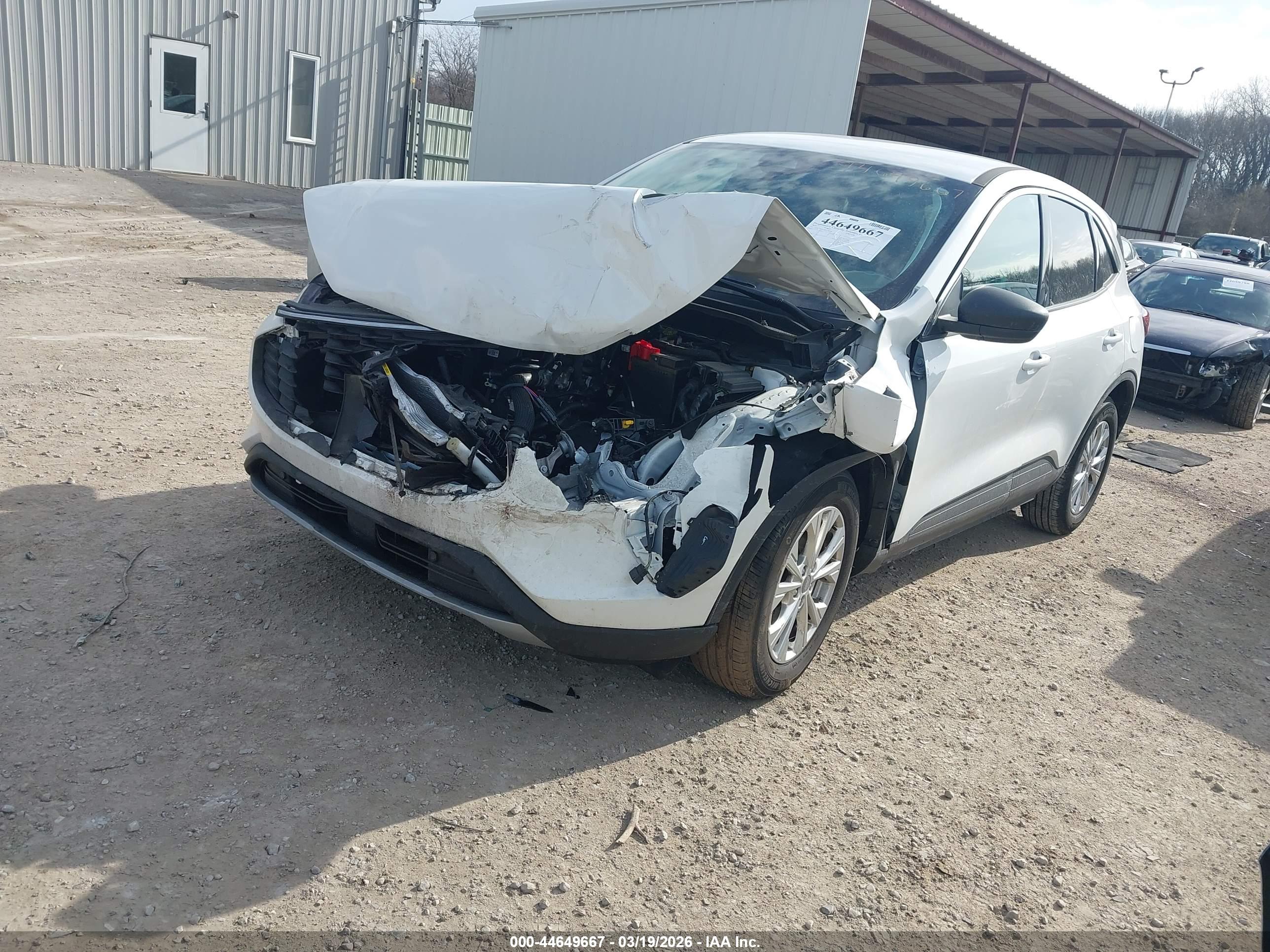 FORD ESCAPE image 2