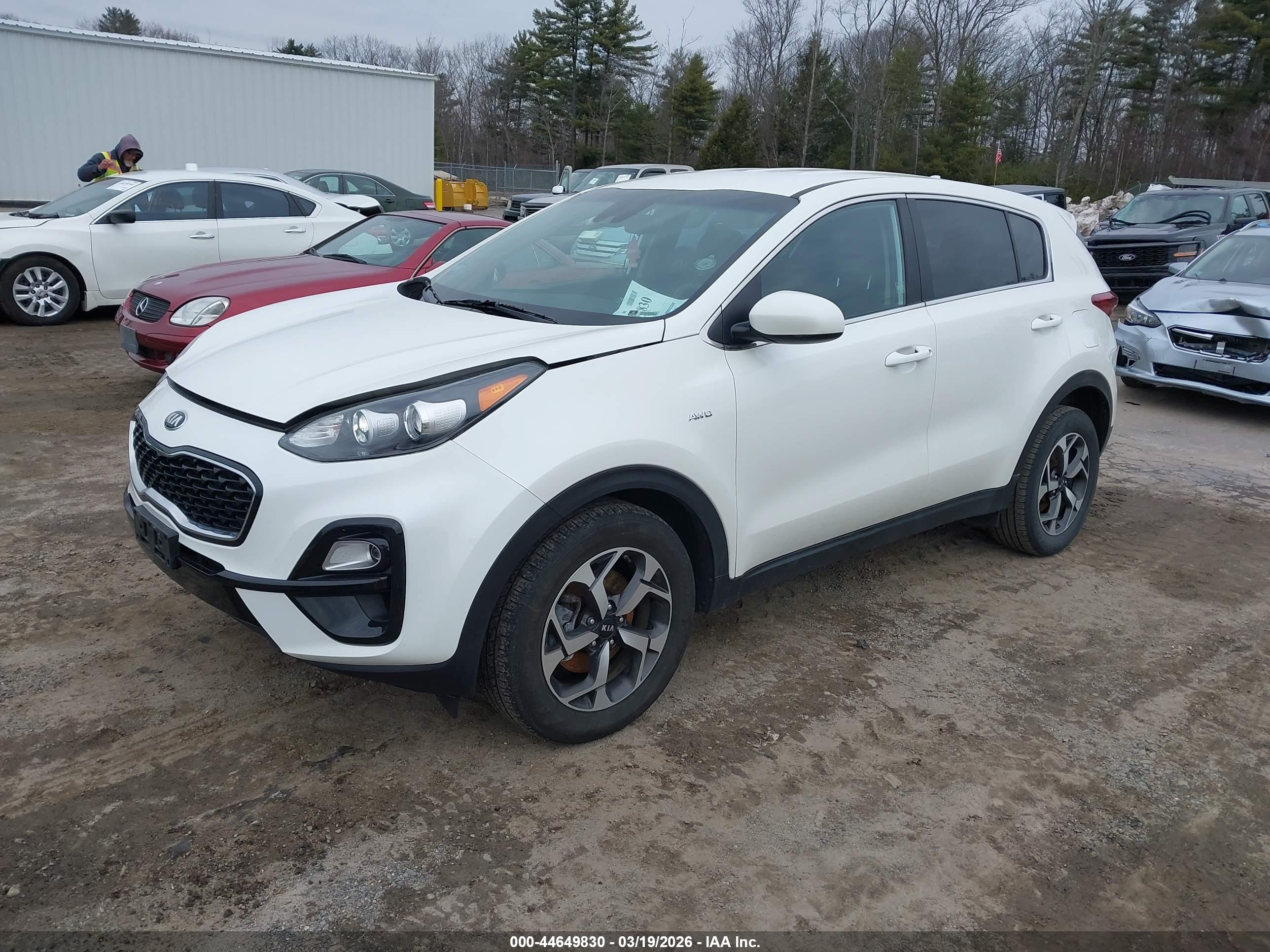 KIA SPORTAGE image 2
