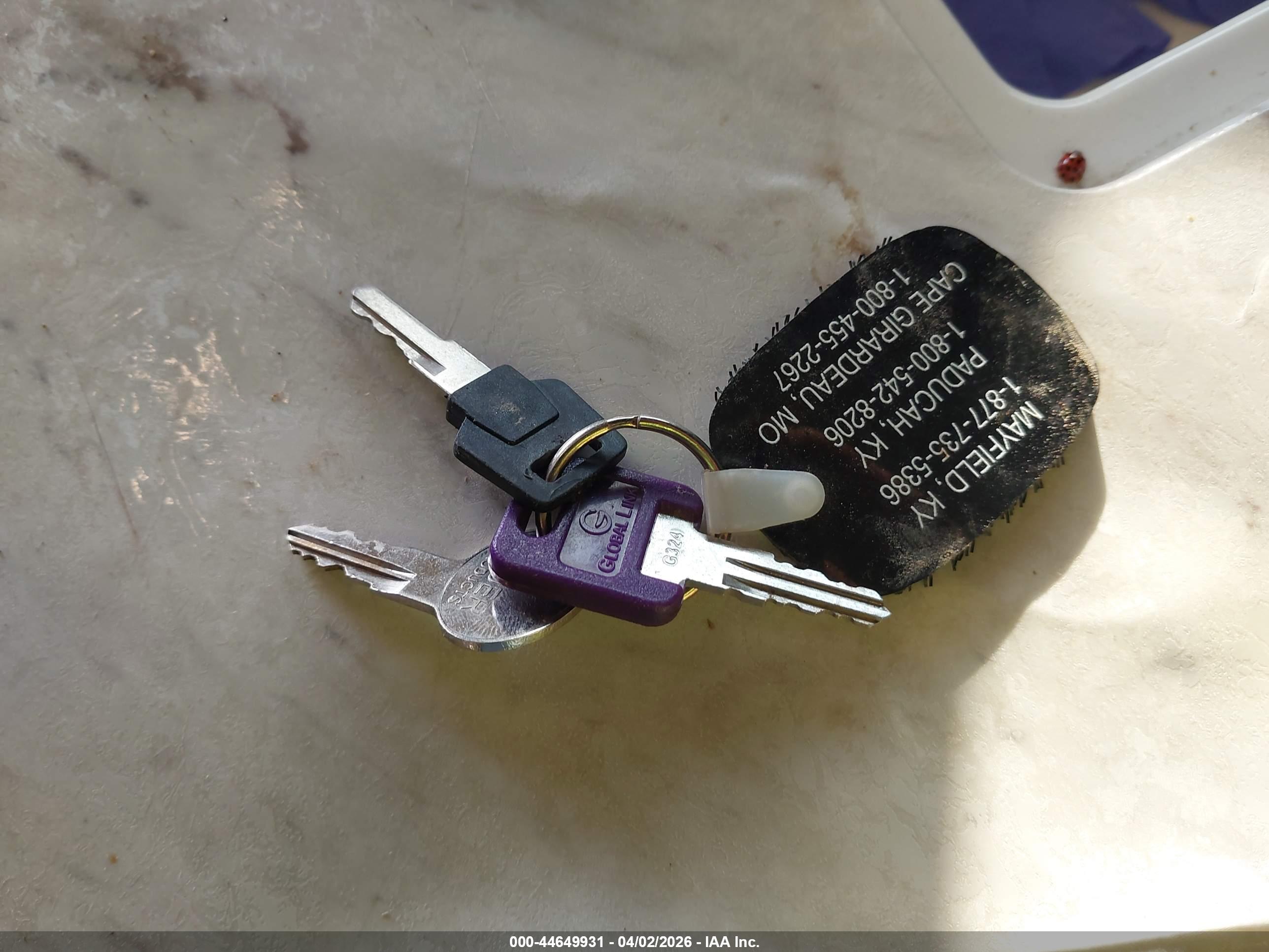 JAYCO JAY image 11