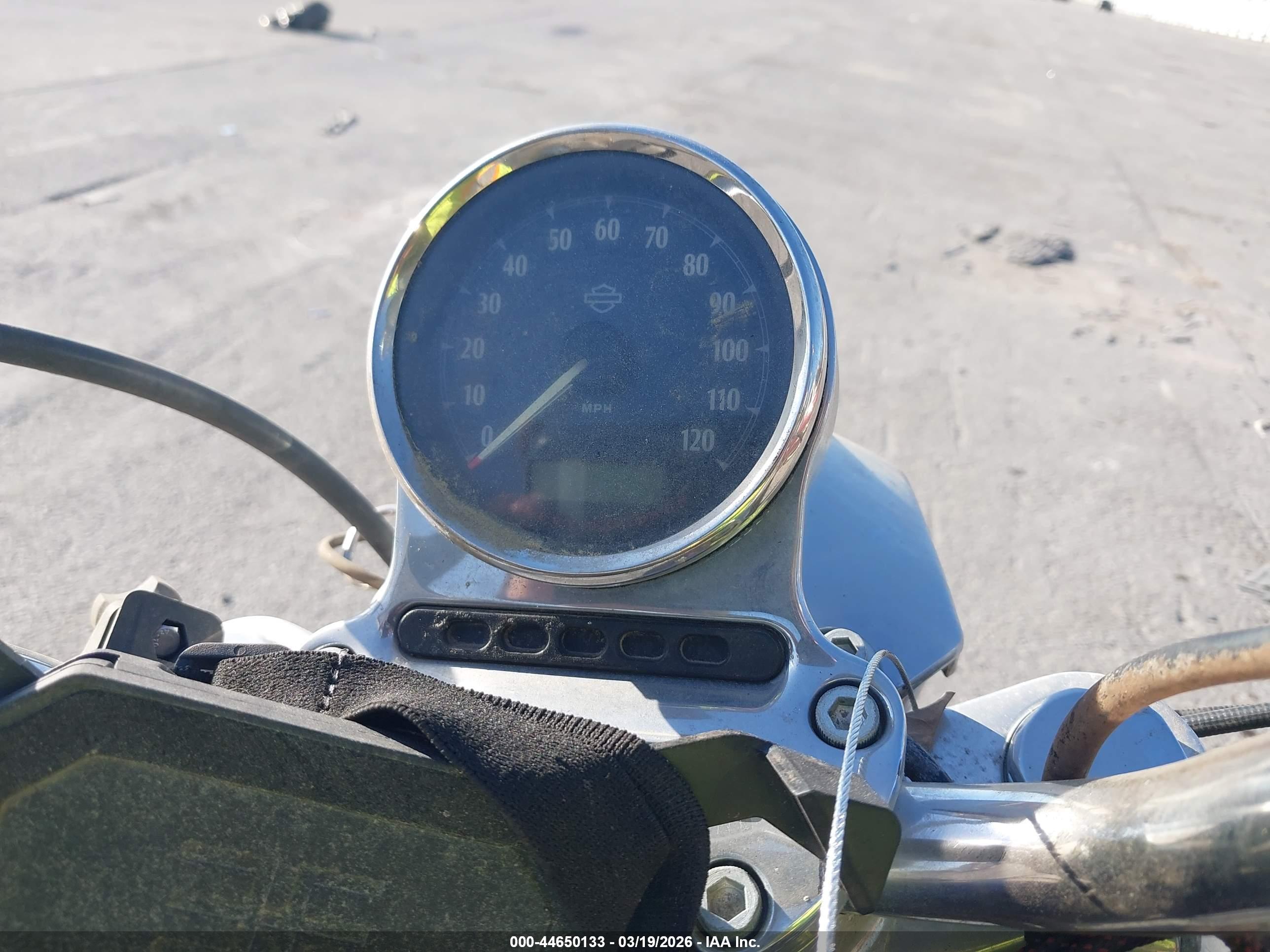 HARLEY-DAVIDSON XL1200 image 7