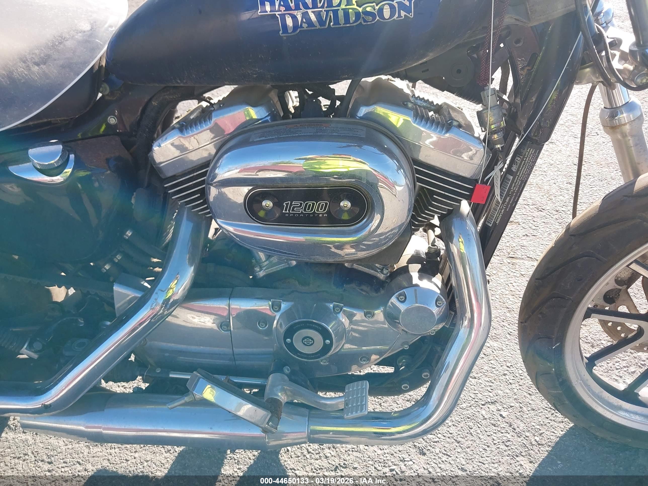 HARLEY-DAVIDSON XL1200 image 8