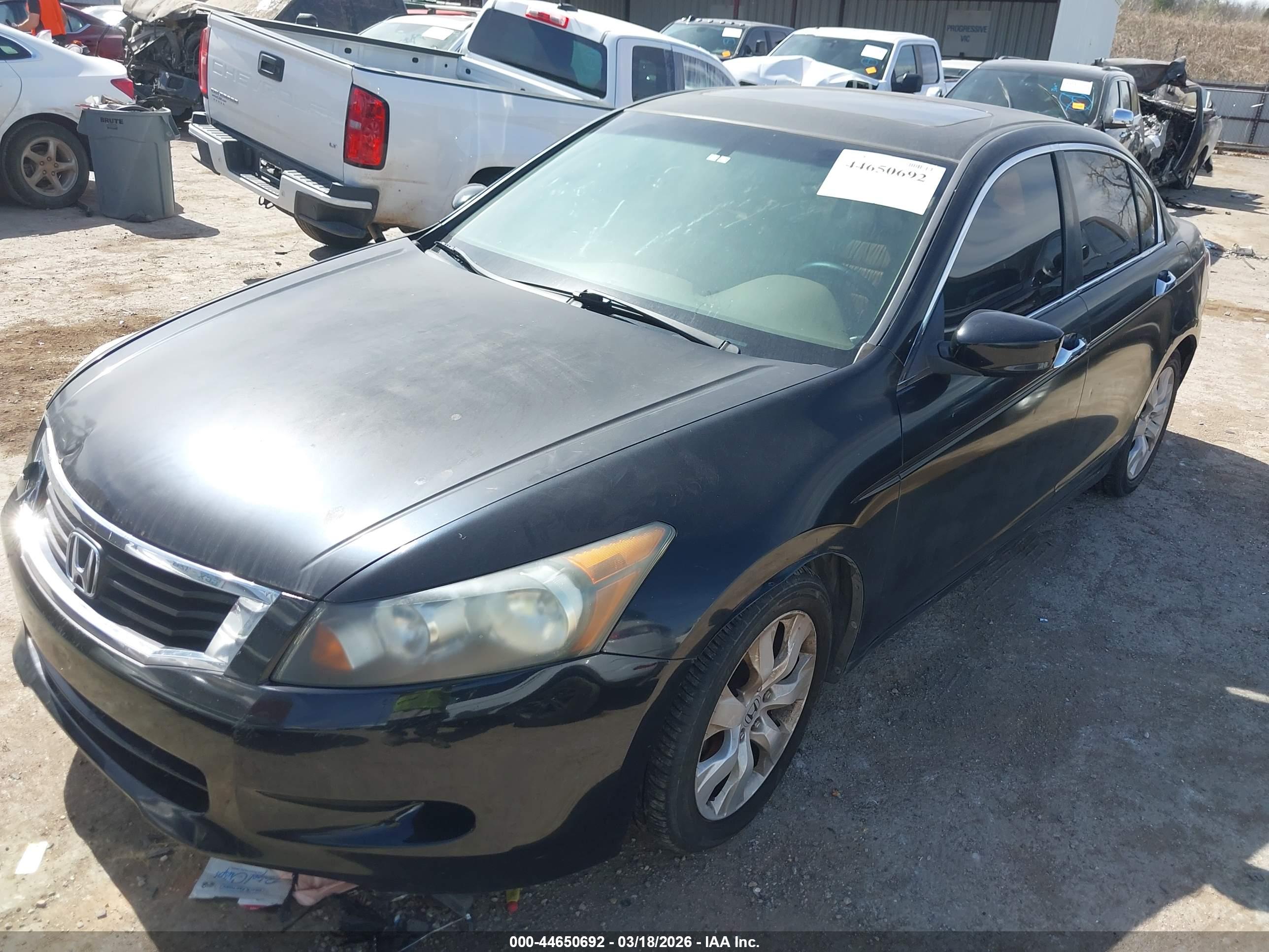 HONDA ACCORD image 2