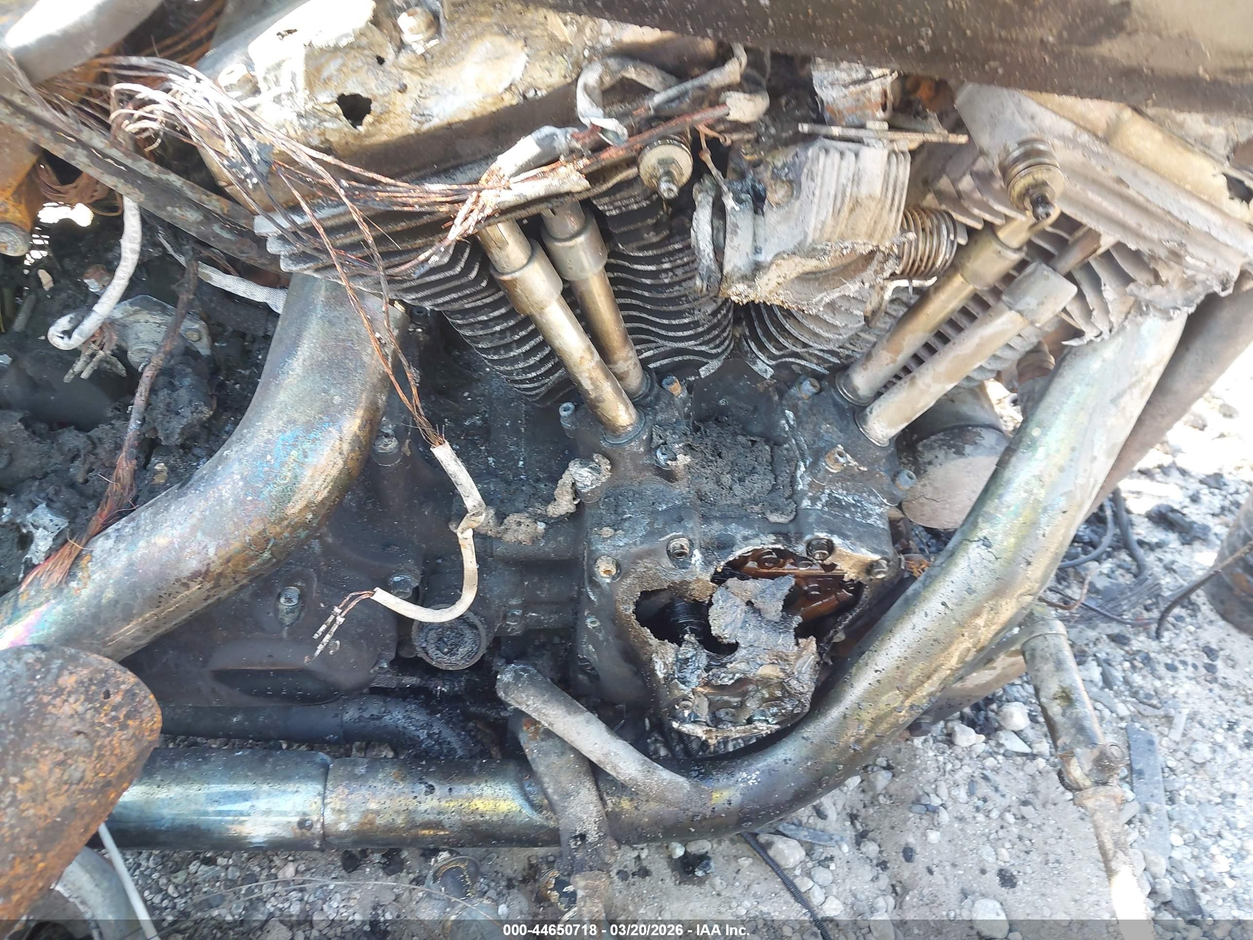 HARLEY-DAVIDSON FXDC image 8