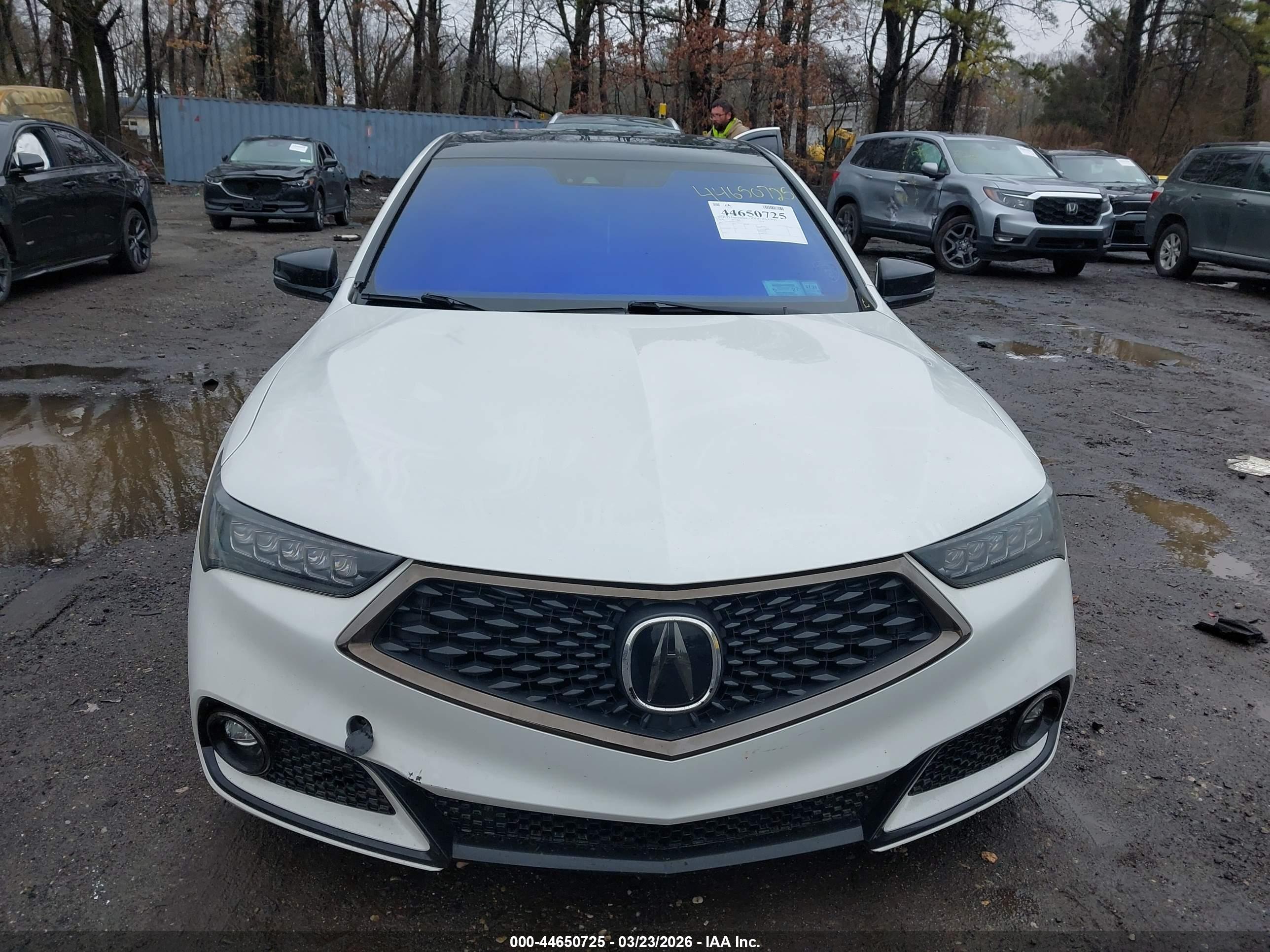 ACURA TLX image 6