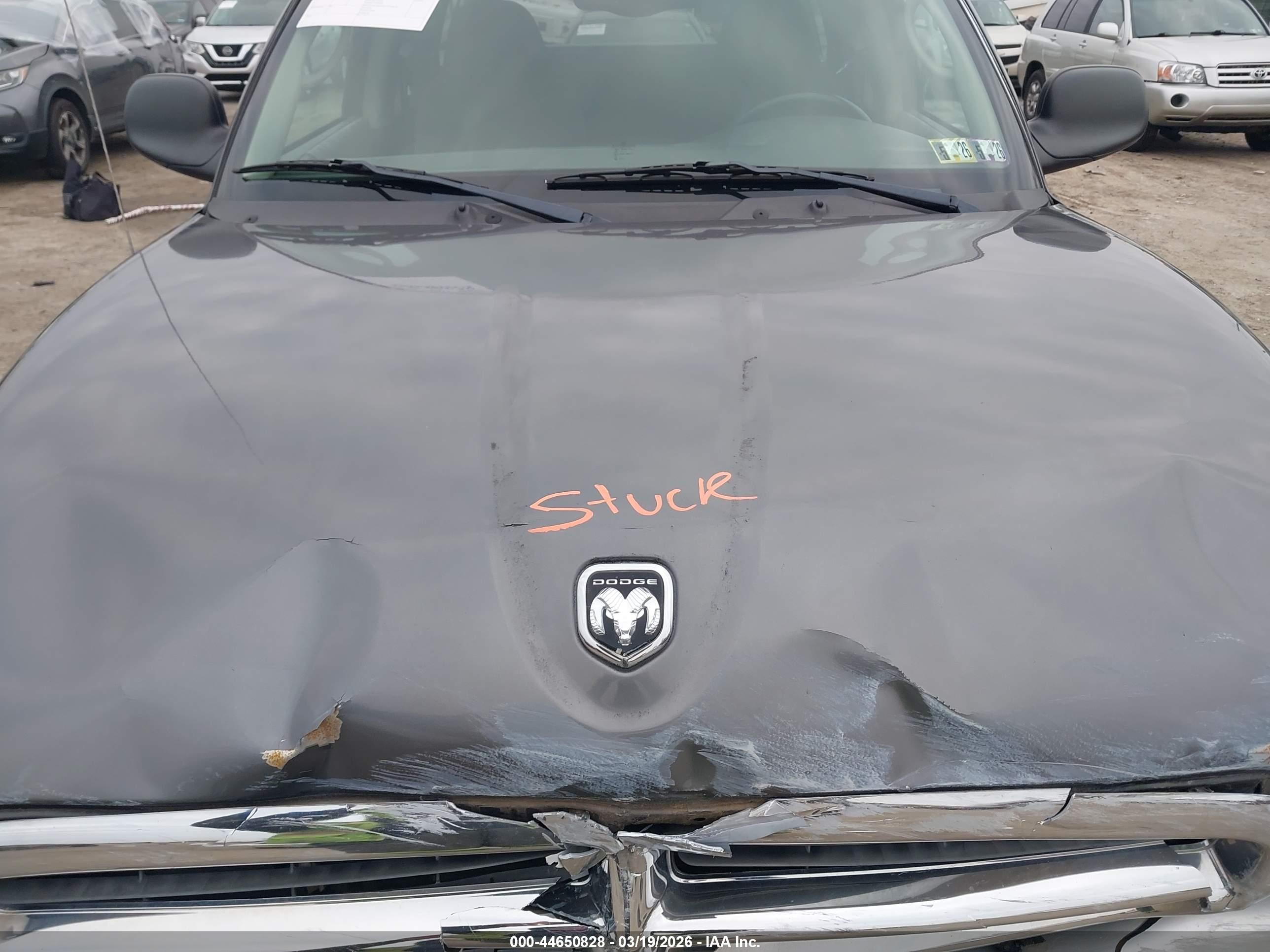 DODGE DAKOTA image 10