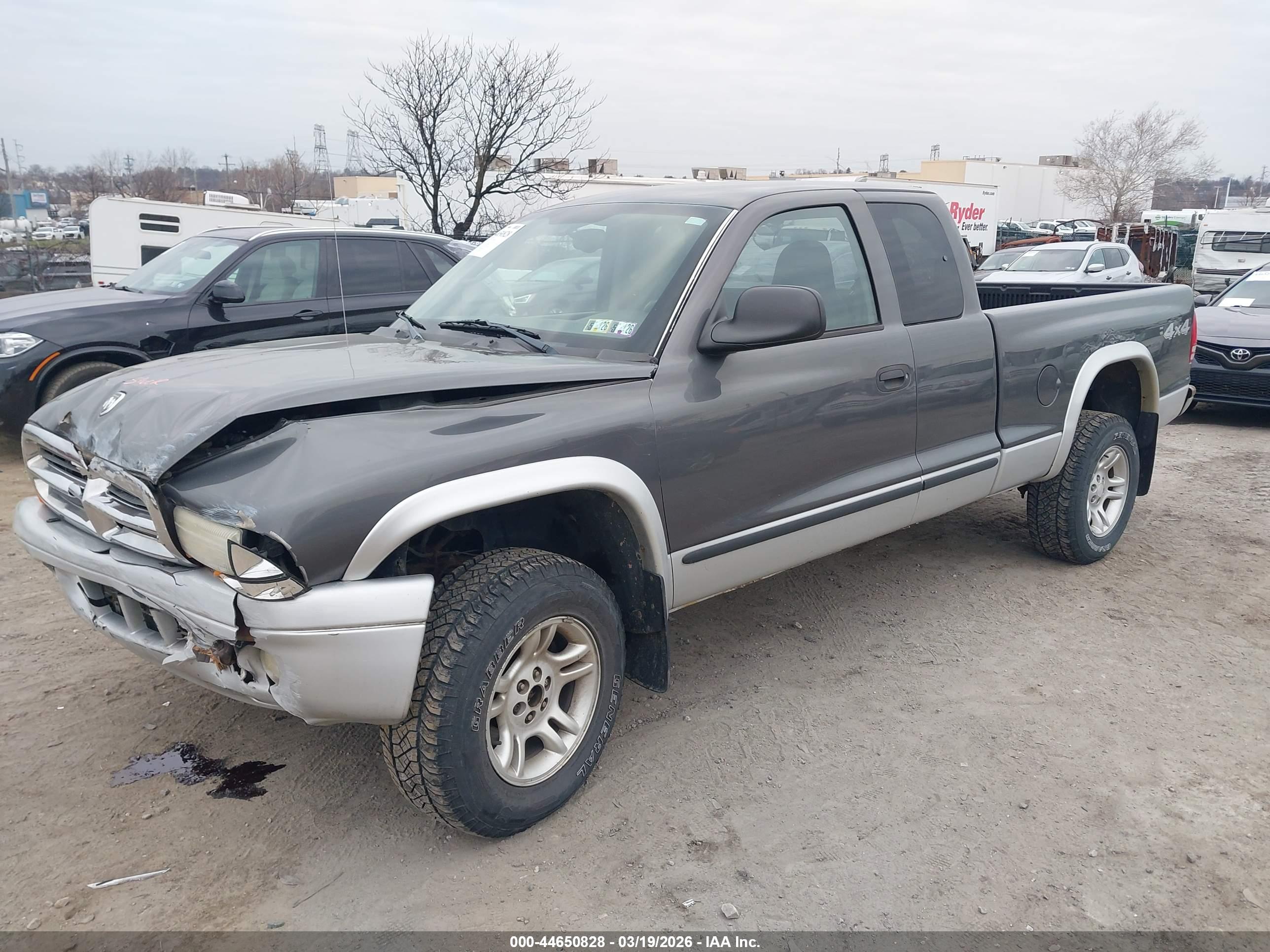 DODGE DAKOTA image 2
