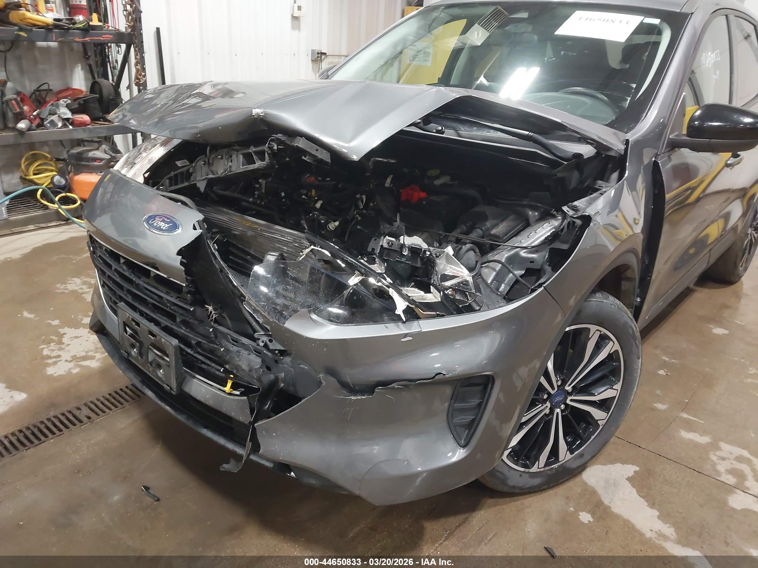 FORD ESCAPE image 6