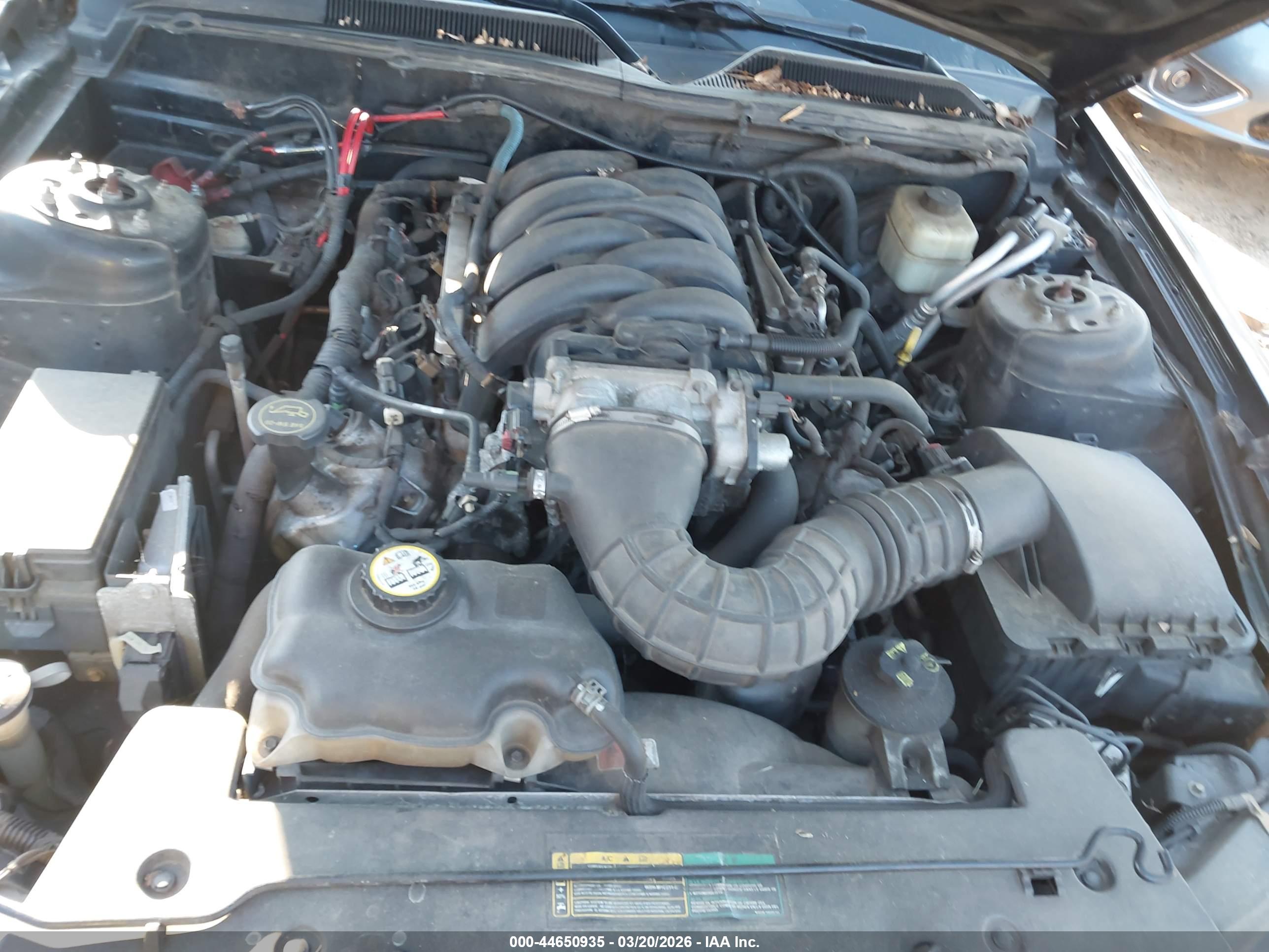 FORD MUSTANG image 10