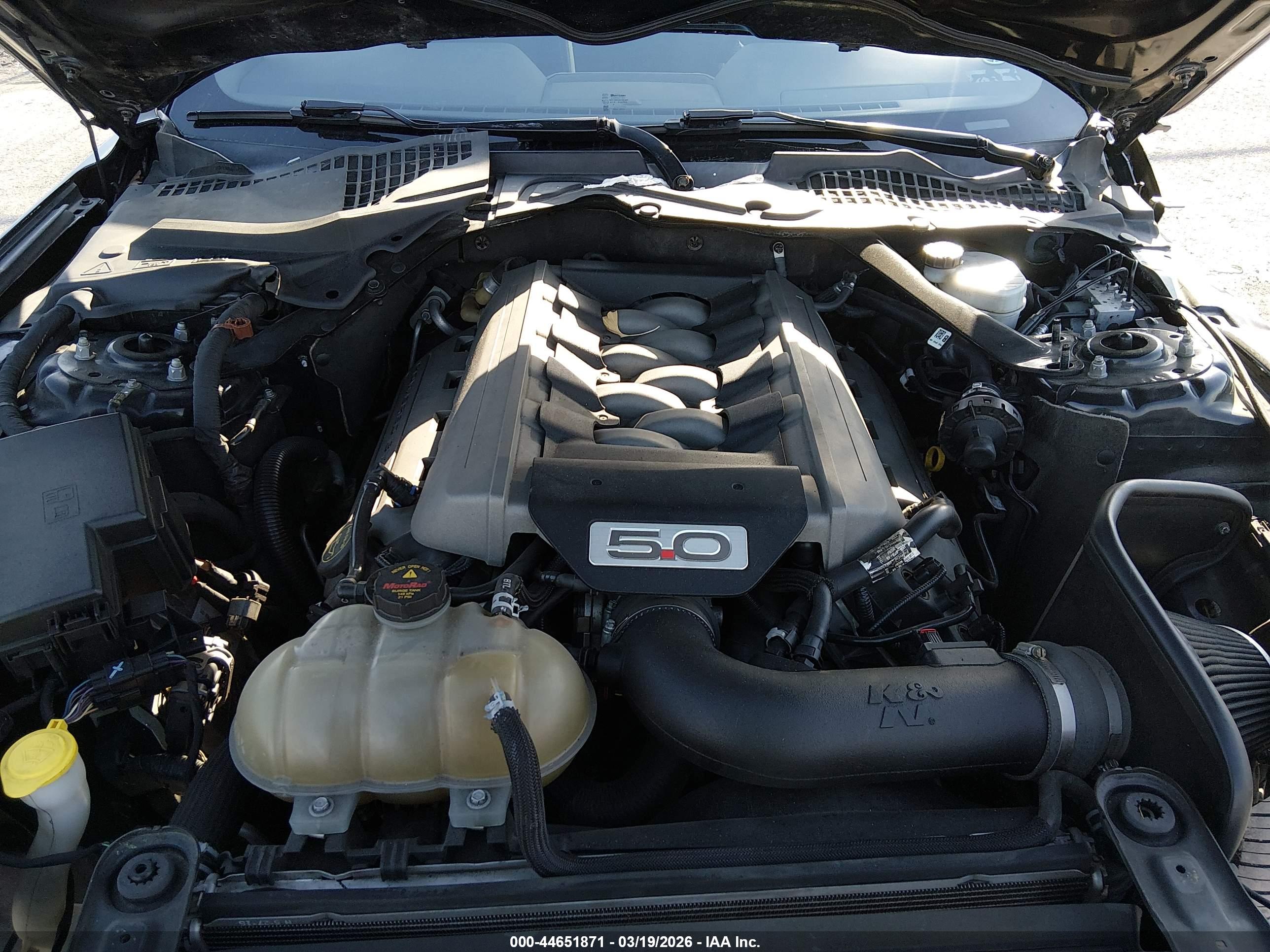 FORD MUSTANG image 10