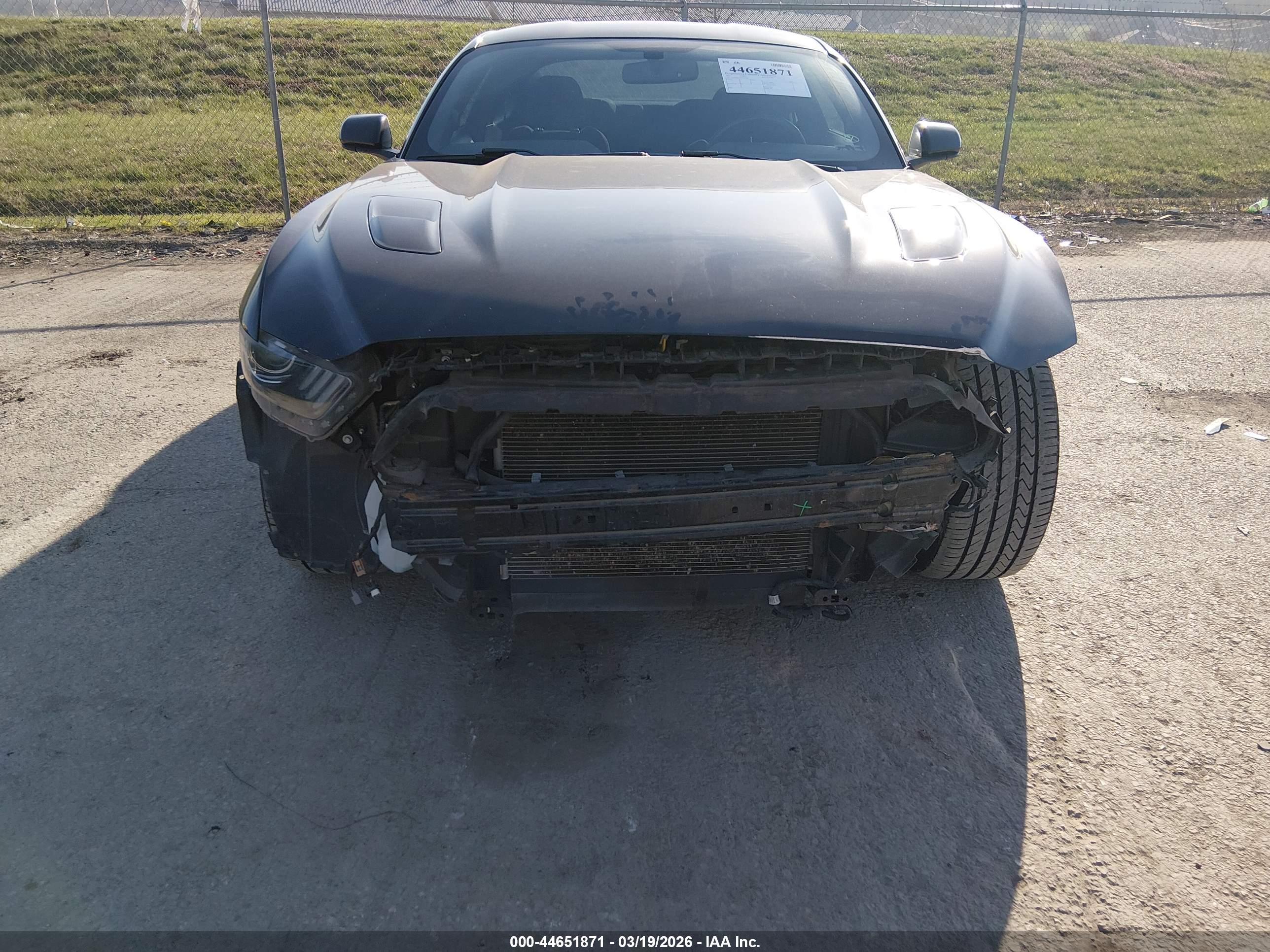 FORD MUSTANG image 6