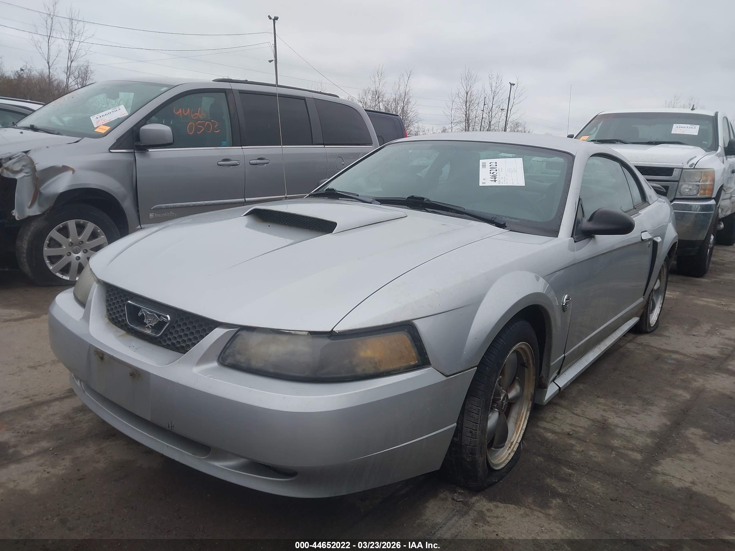 FORD MUSTANG image 2