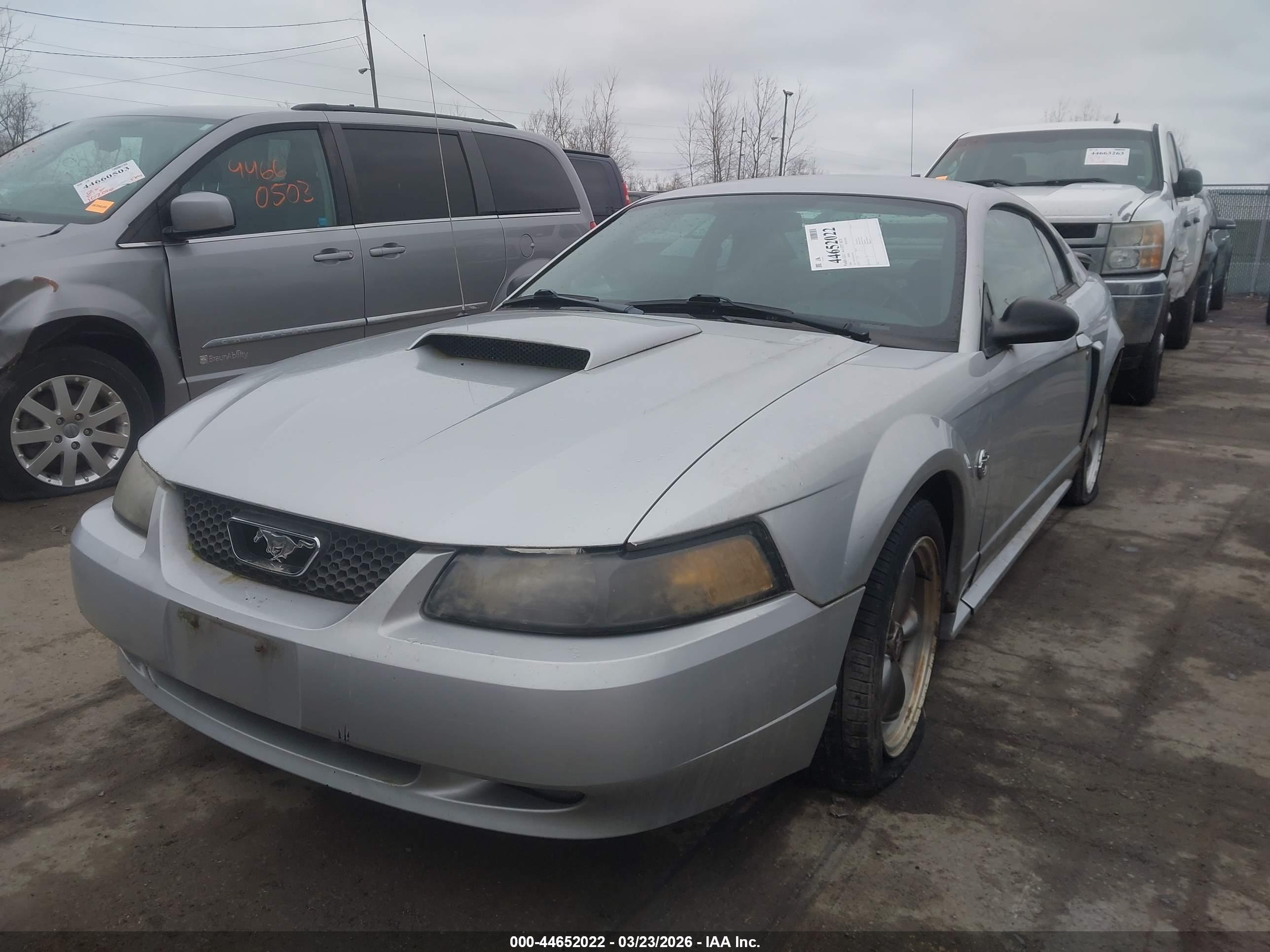 FORD MUSTANG image 6