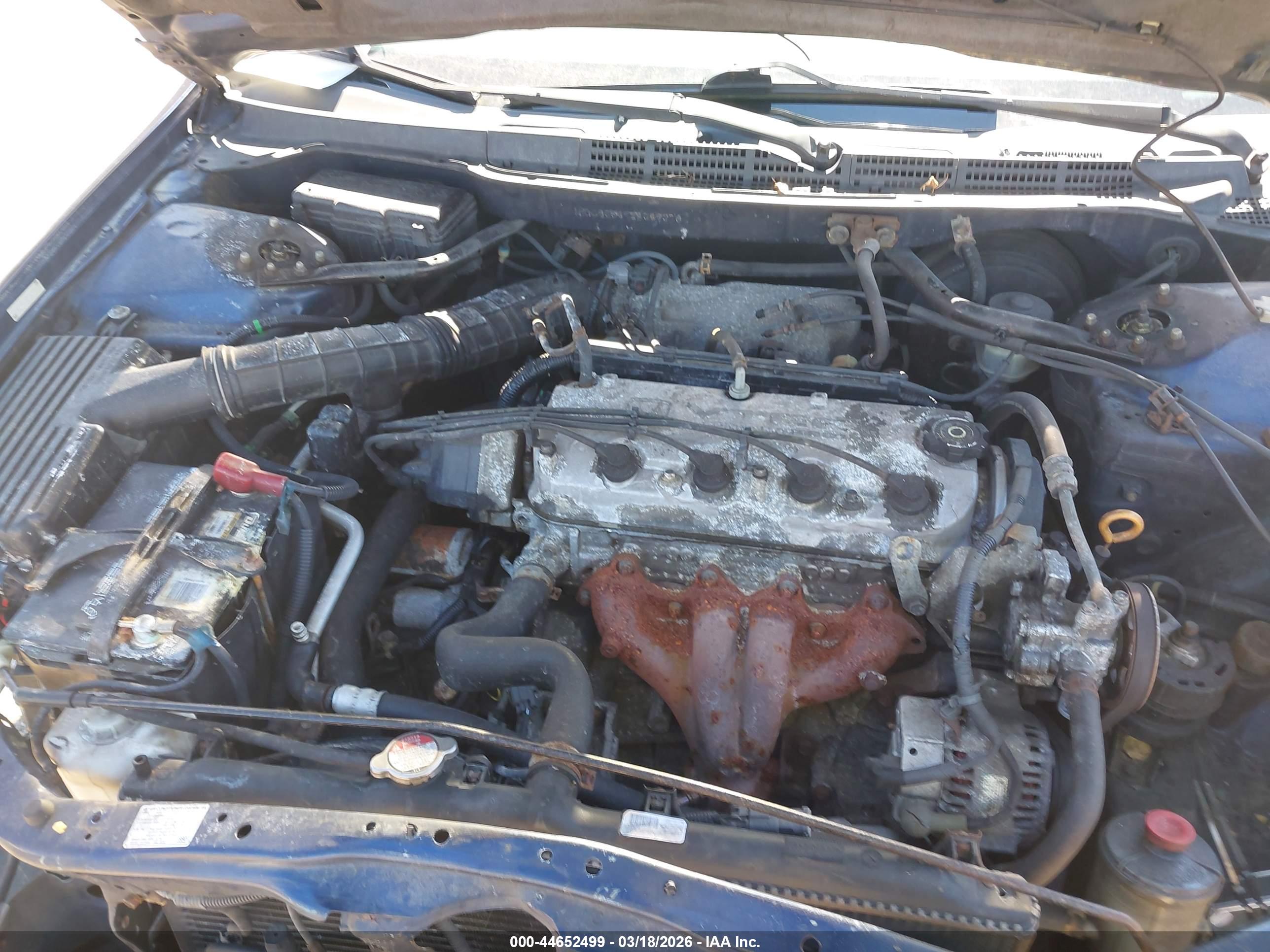 HONDA ACCORD image 10
