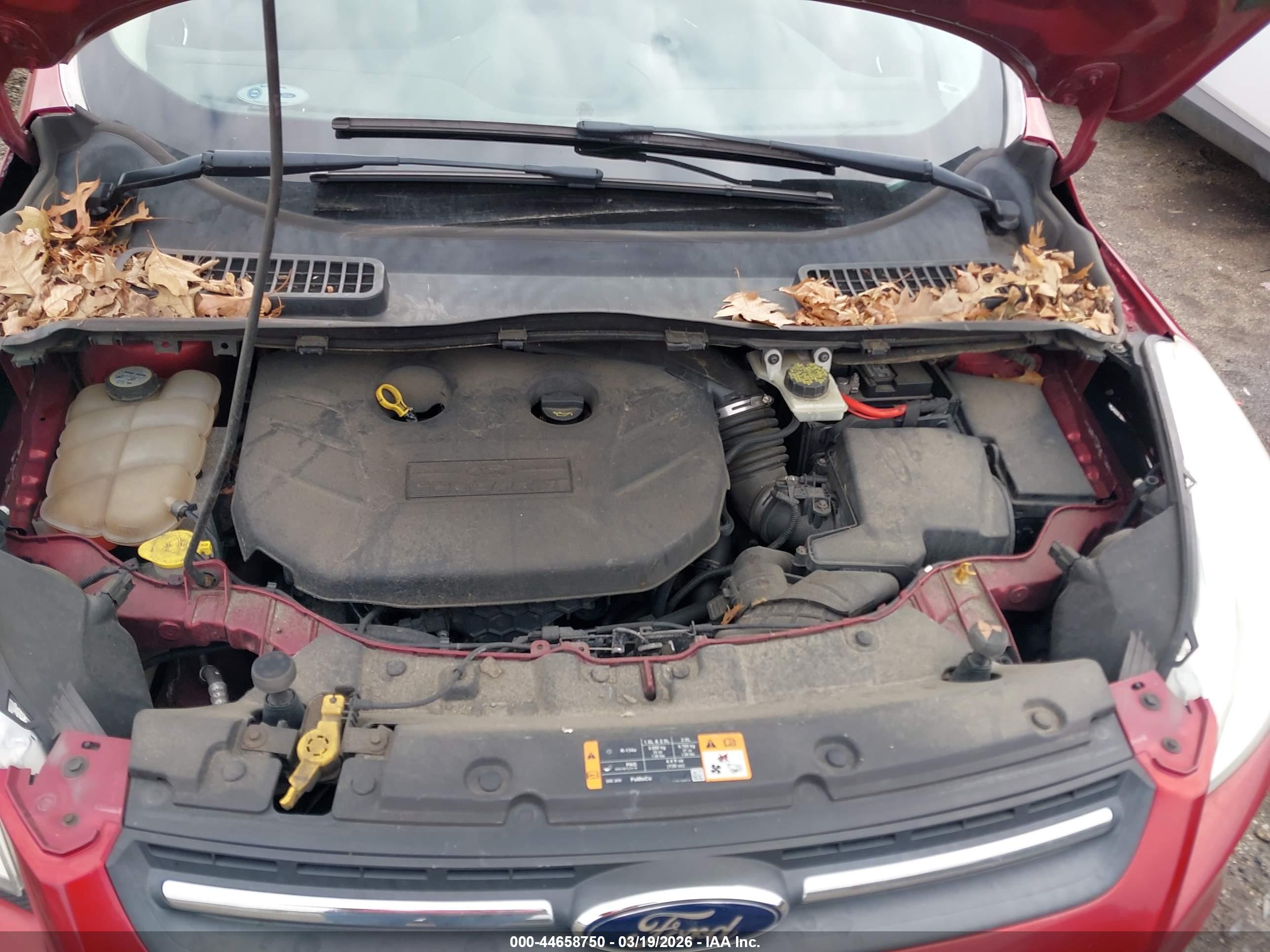 FORD ESCAPE image 10