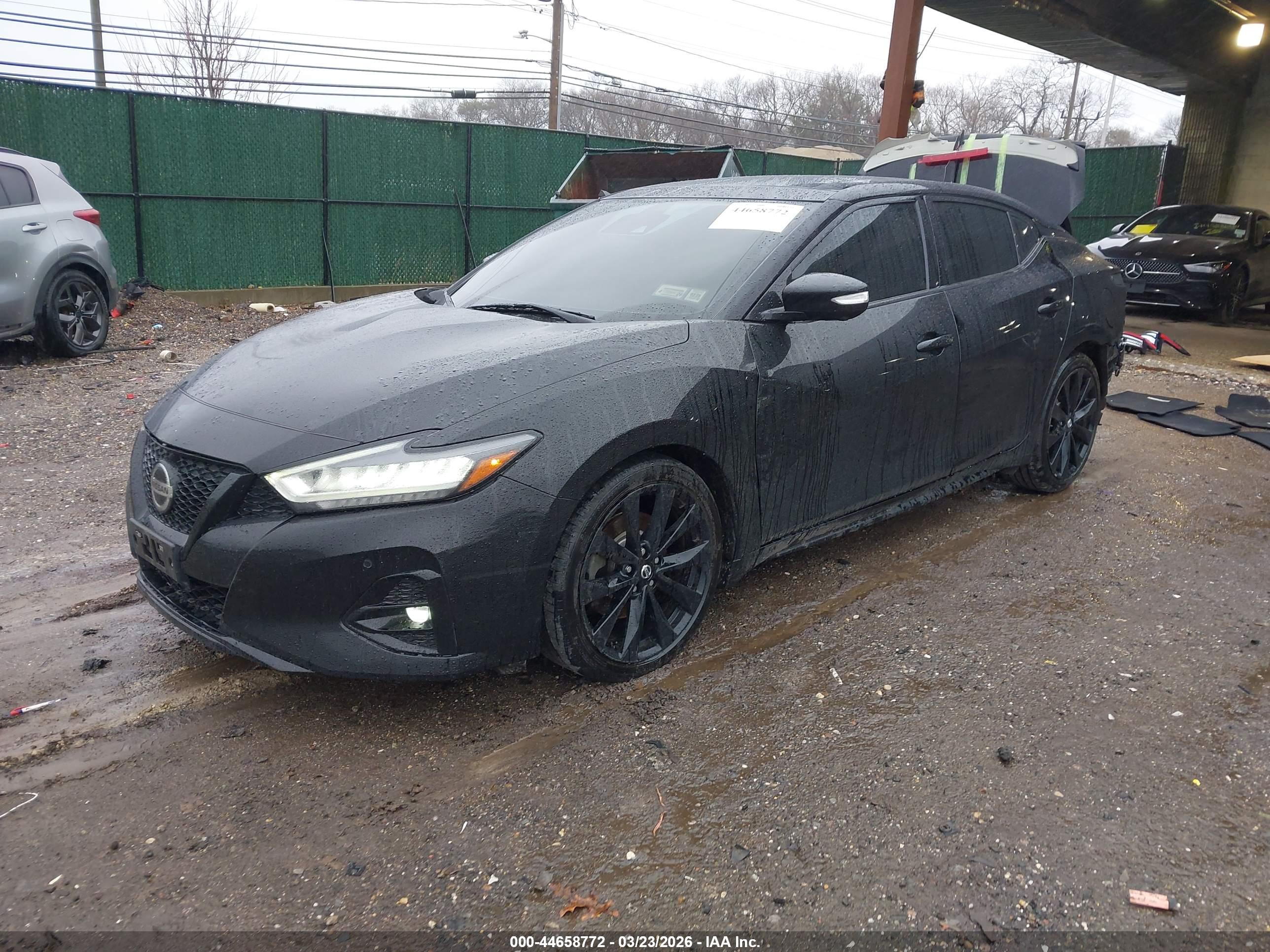 NISSAN MAXIMA image 2