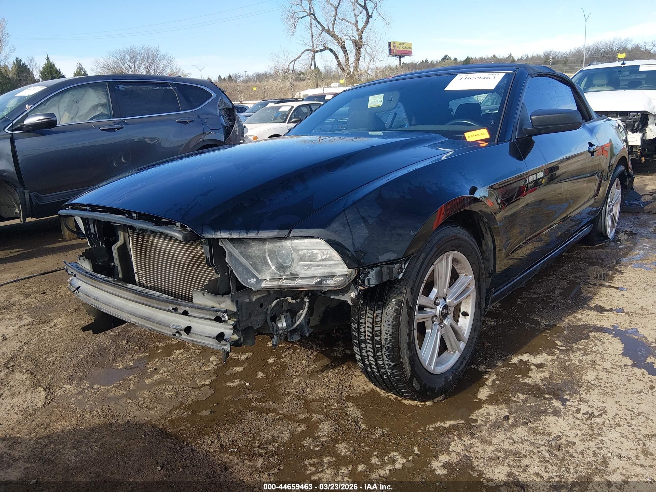 FORD MUSTANG image 2