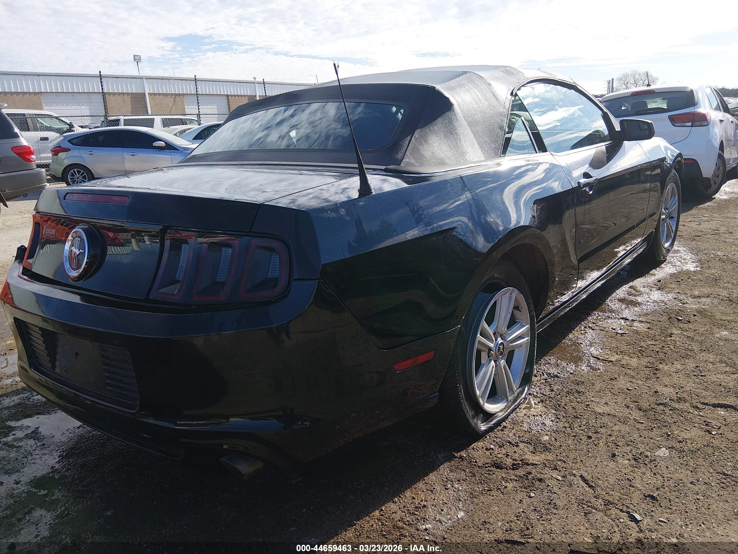 FORD MUSTANG image 4
