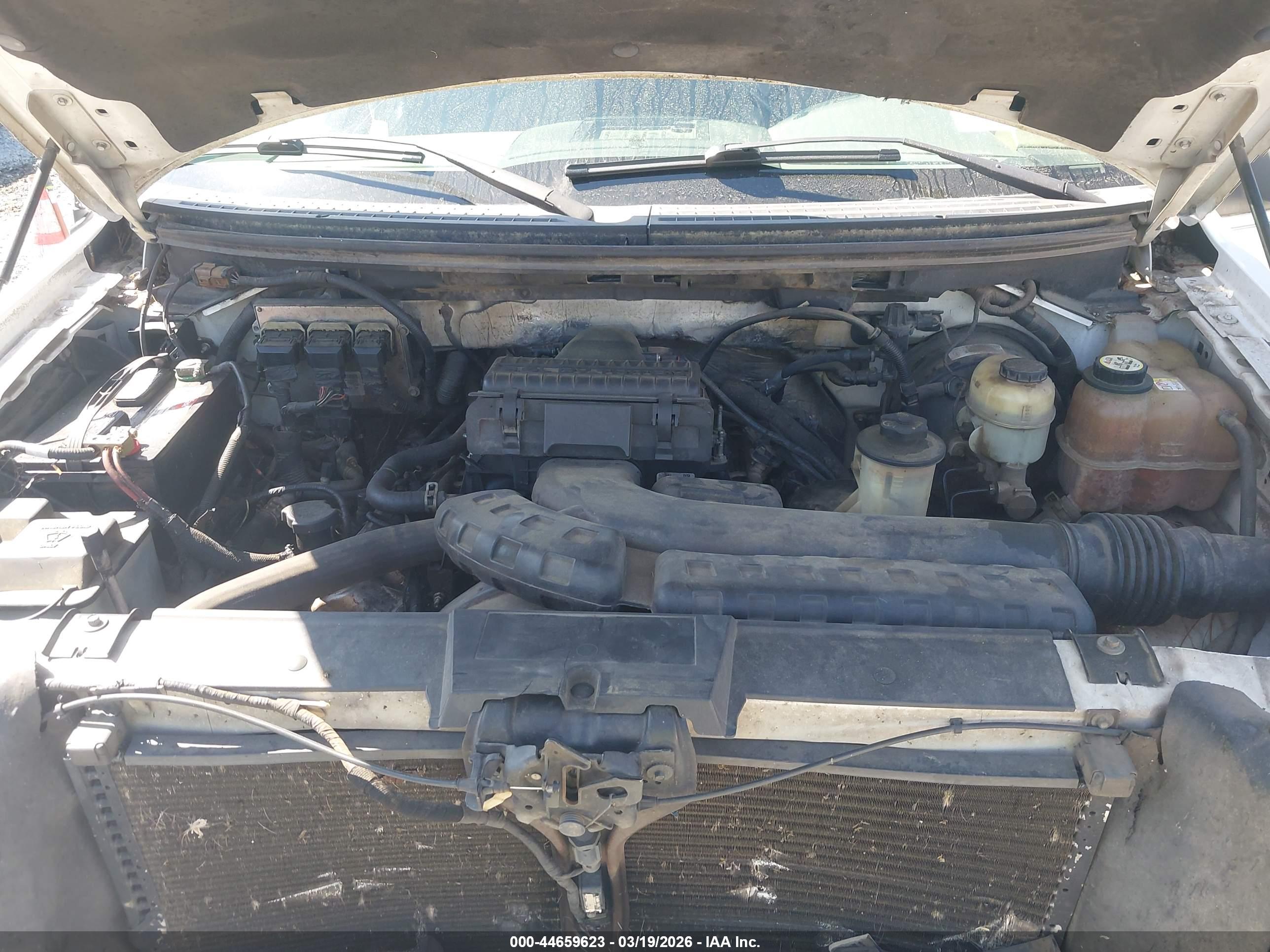 FORD F-150 image 10