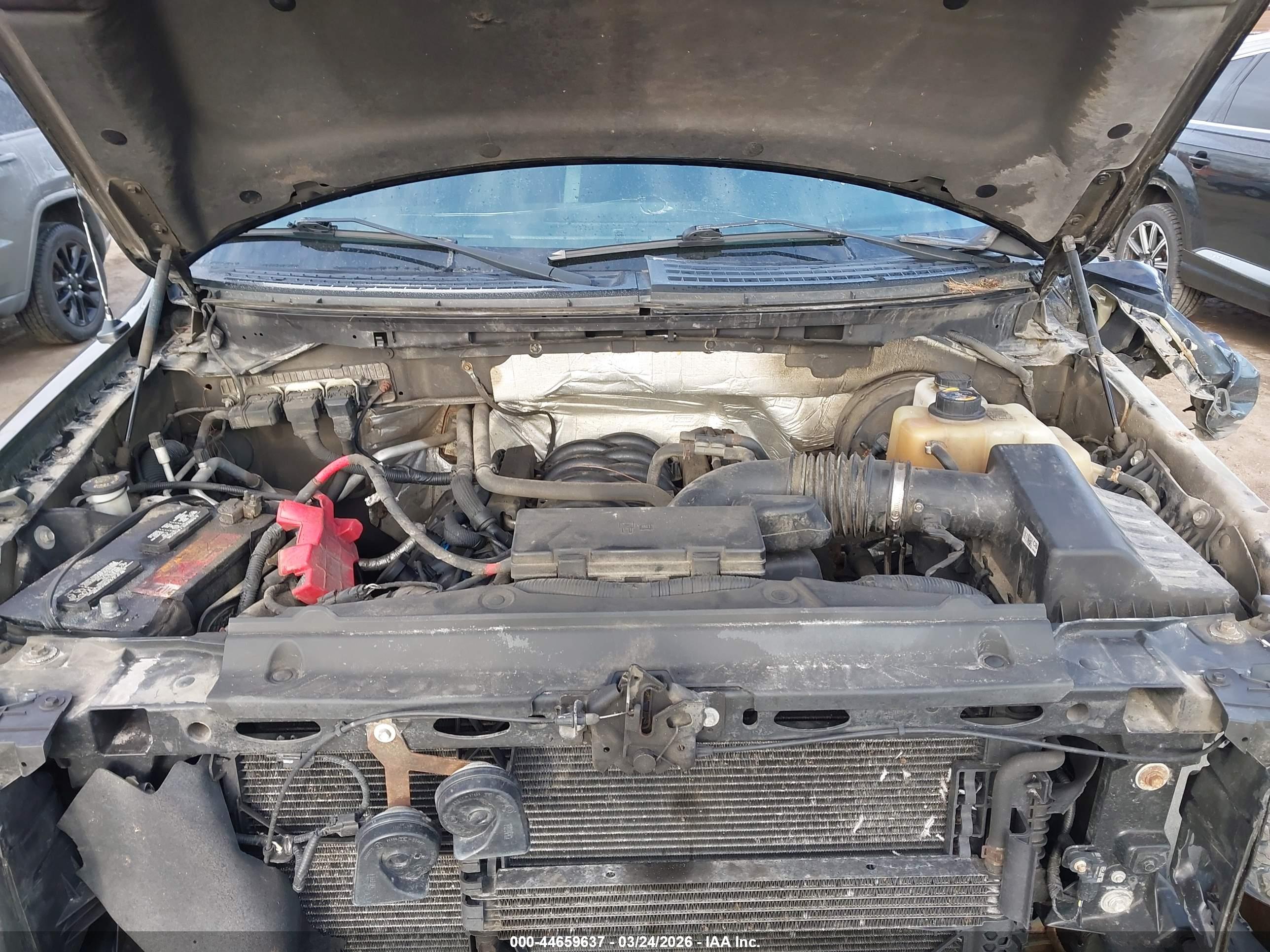 FORD F-150 image 10
