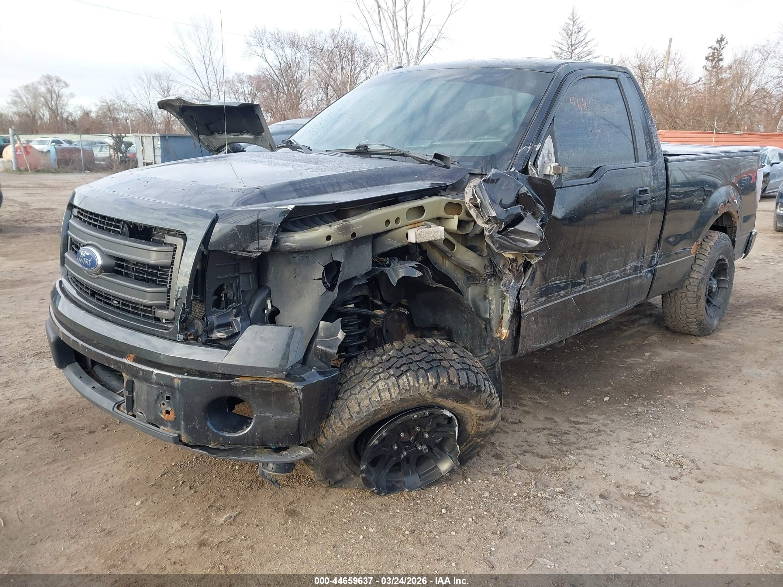 FORD F-150 image 2
