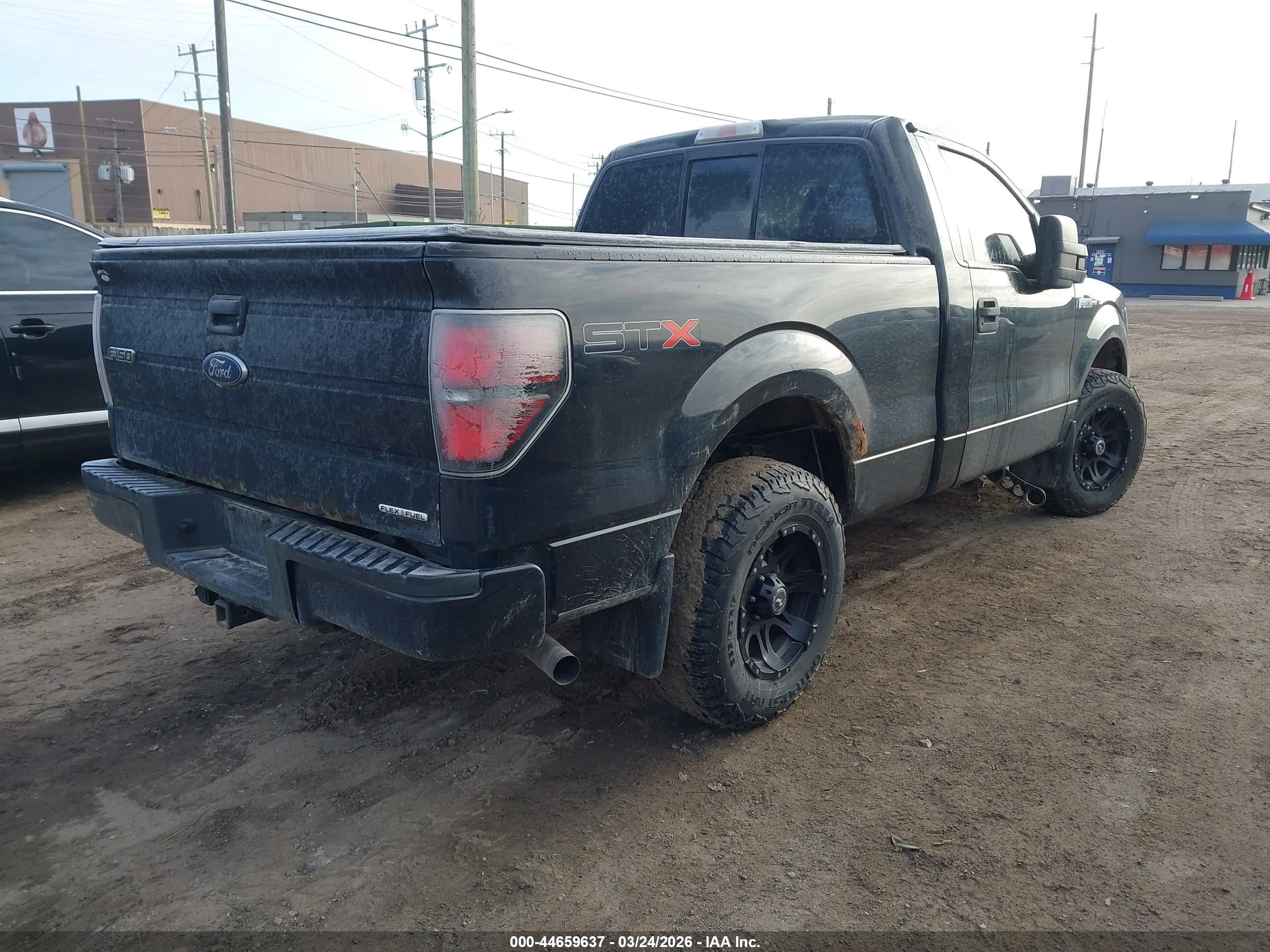FORD F-150 image 4
