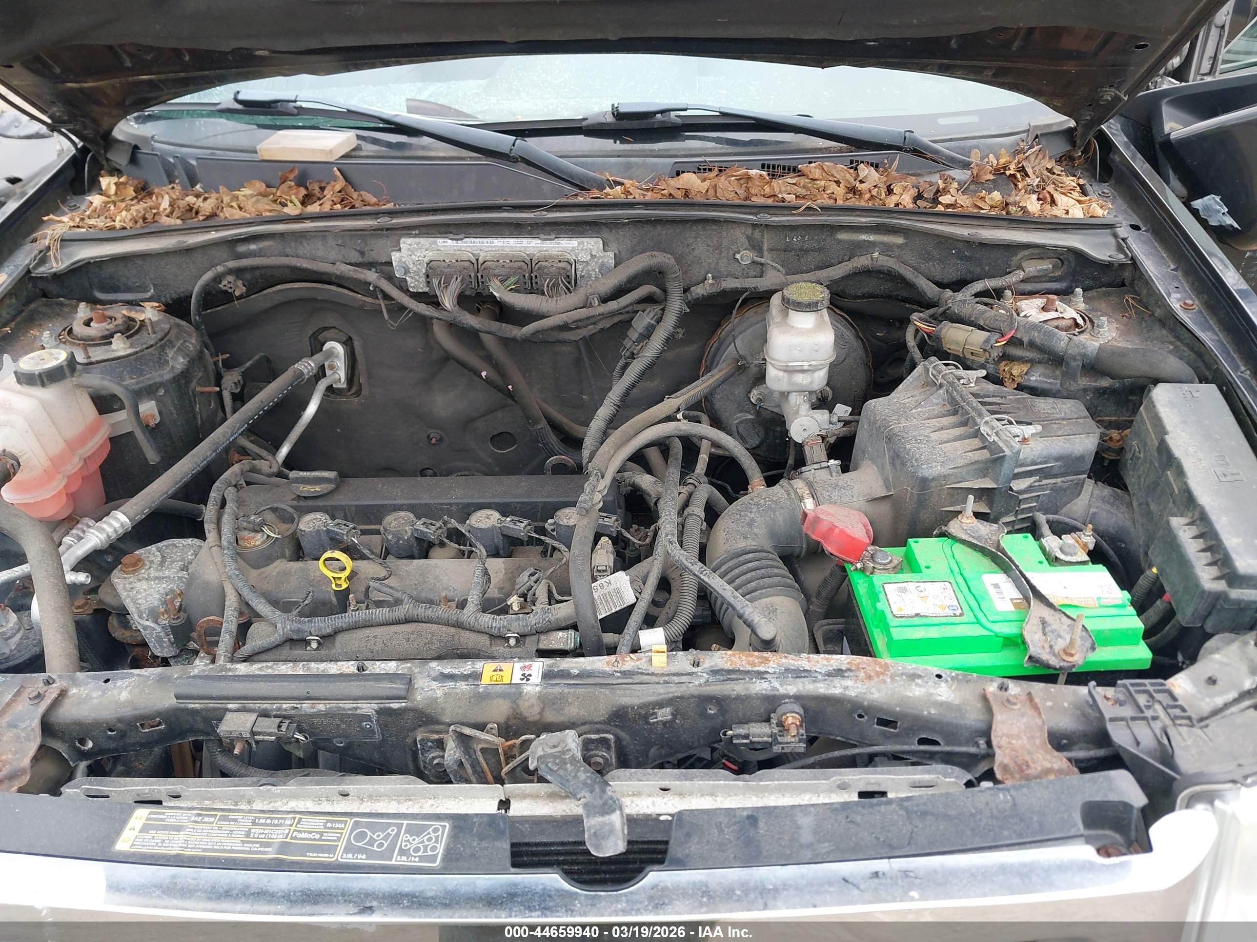 FORD ESCAPE image 10