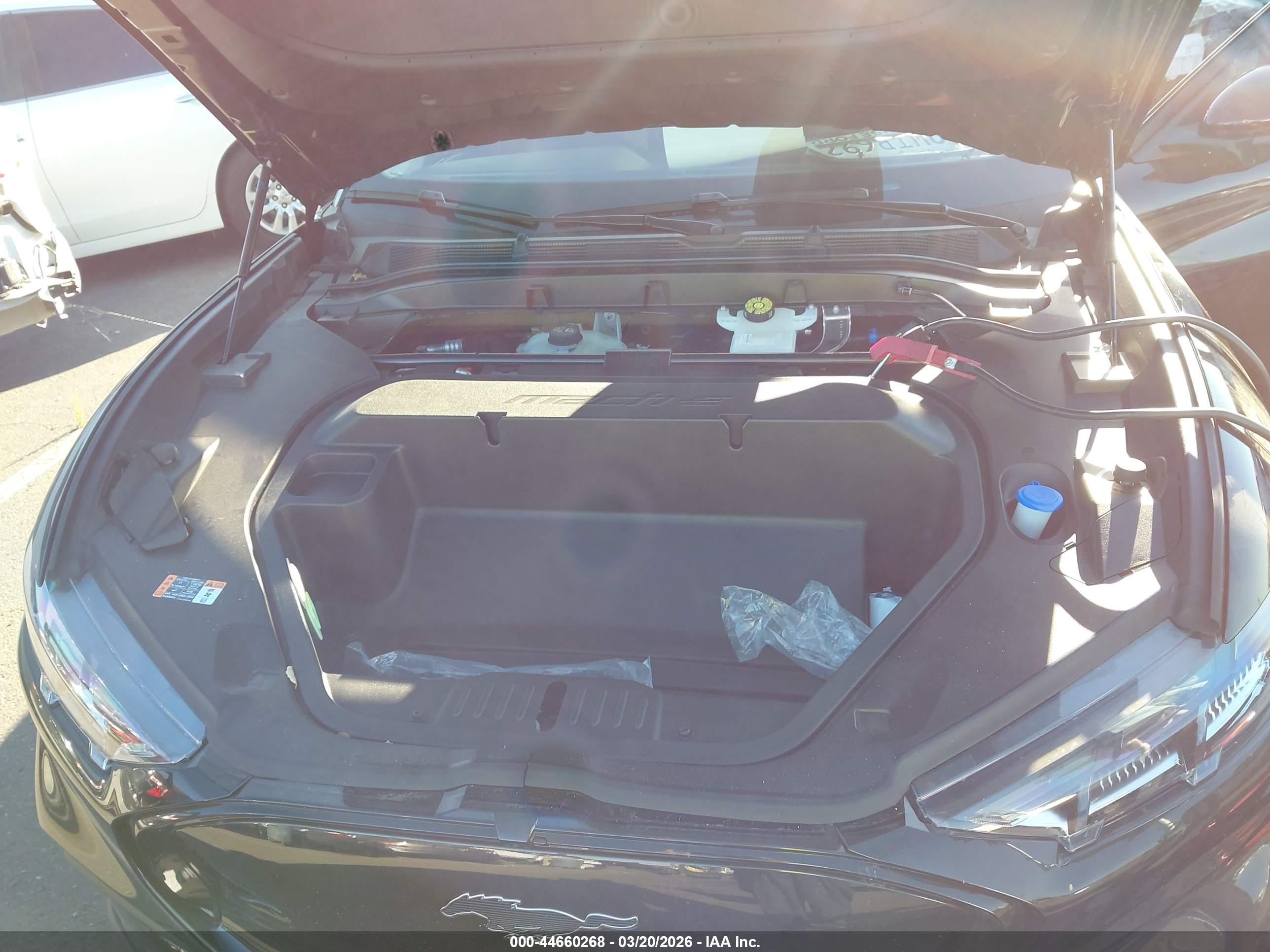 FORD MUSTANG image 10