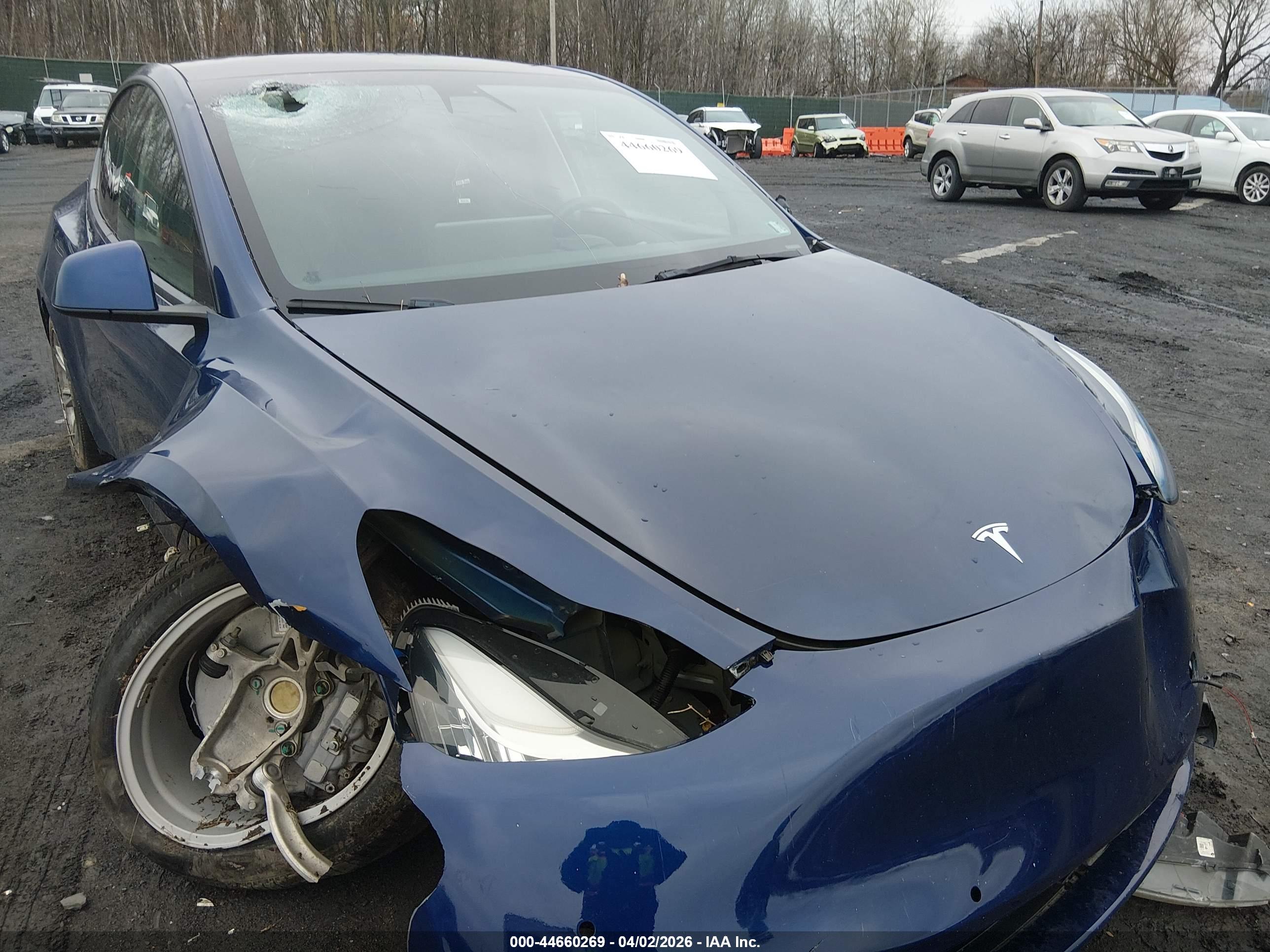 TESLA MODEL image 6