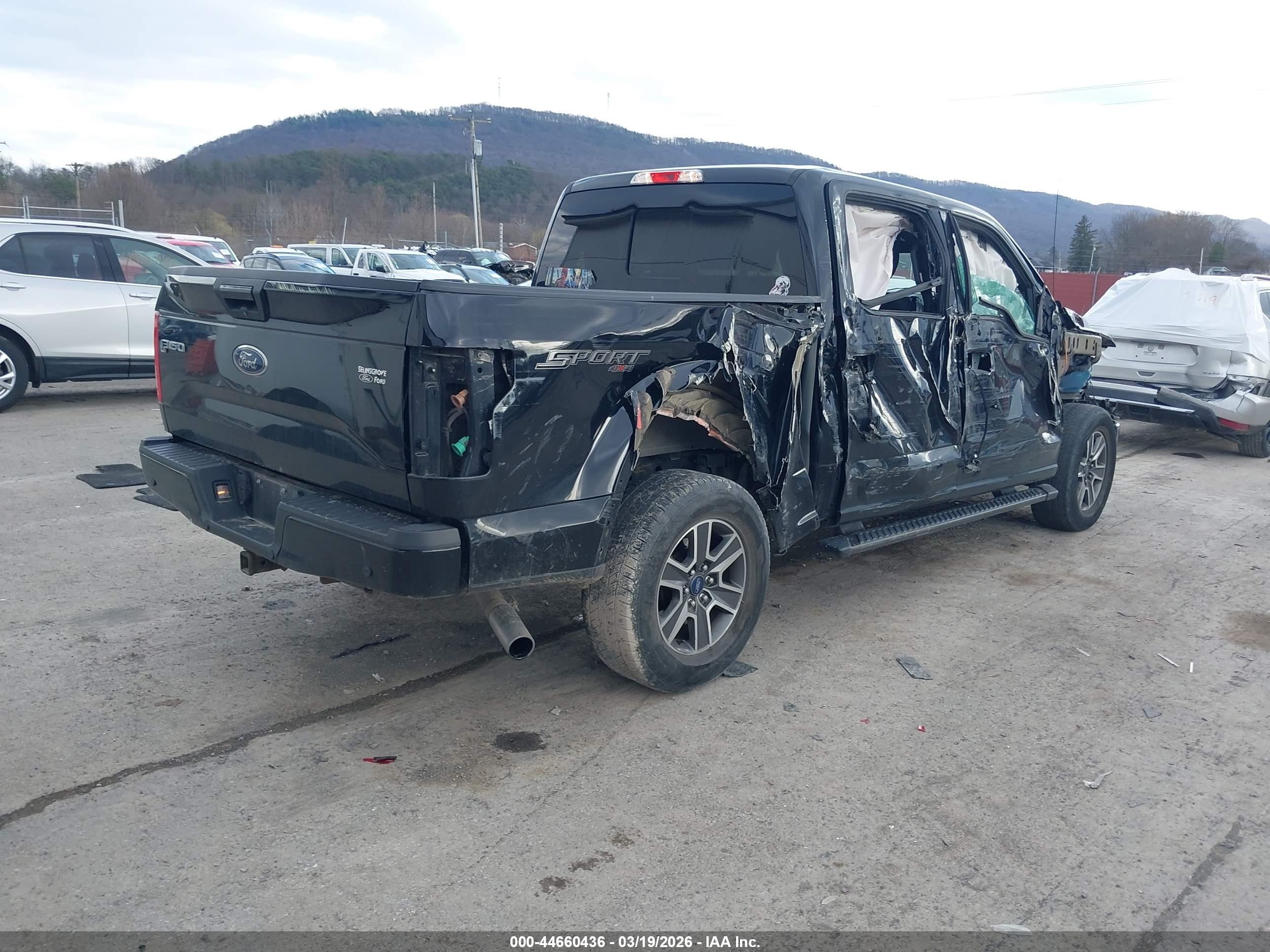 FORD F-150 image 4