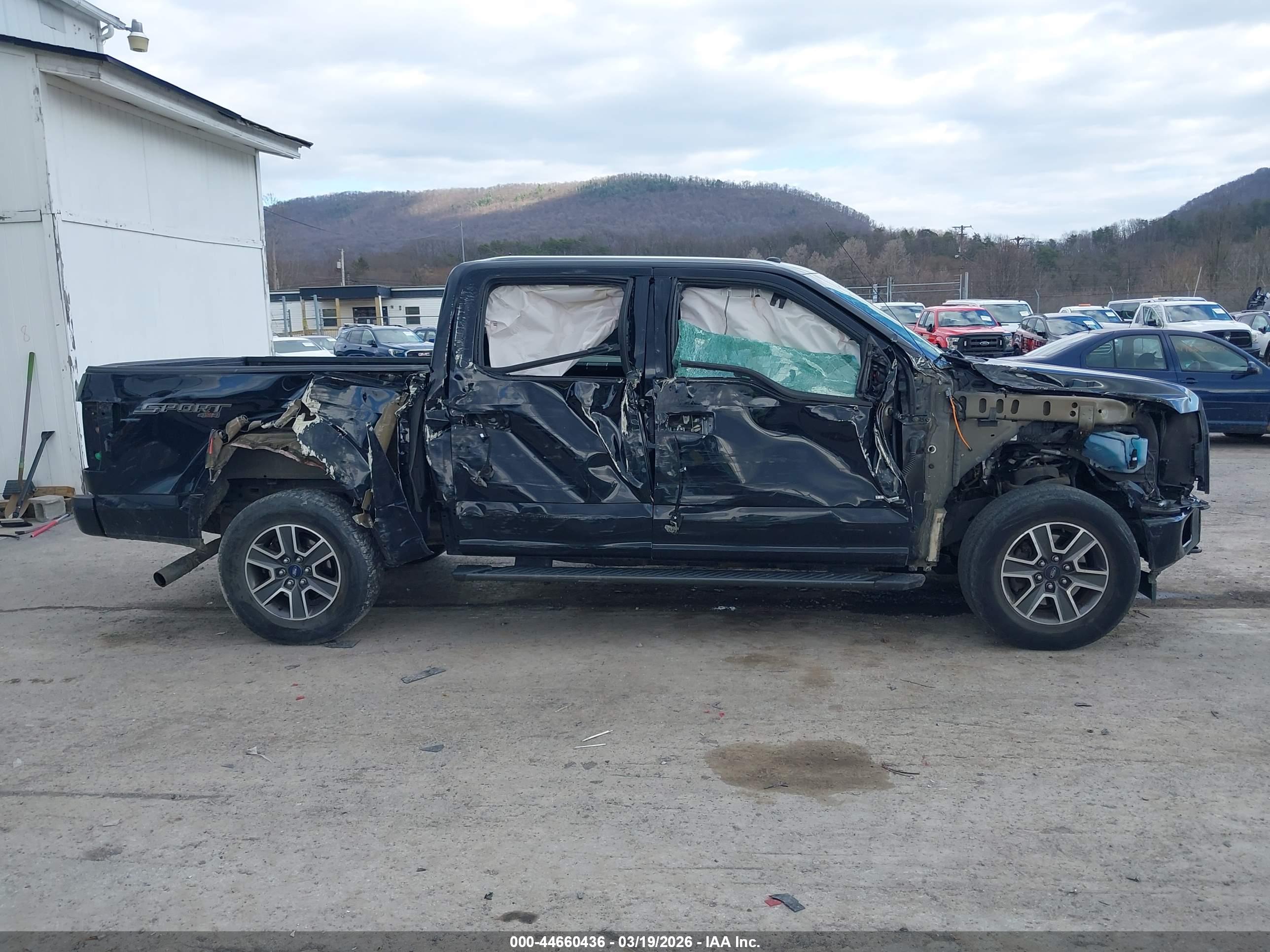 FORD F-150 image 6