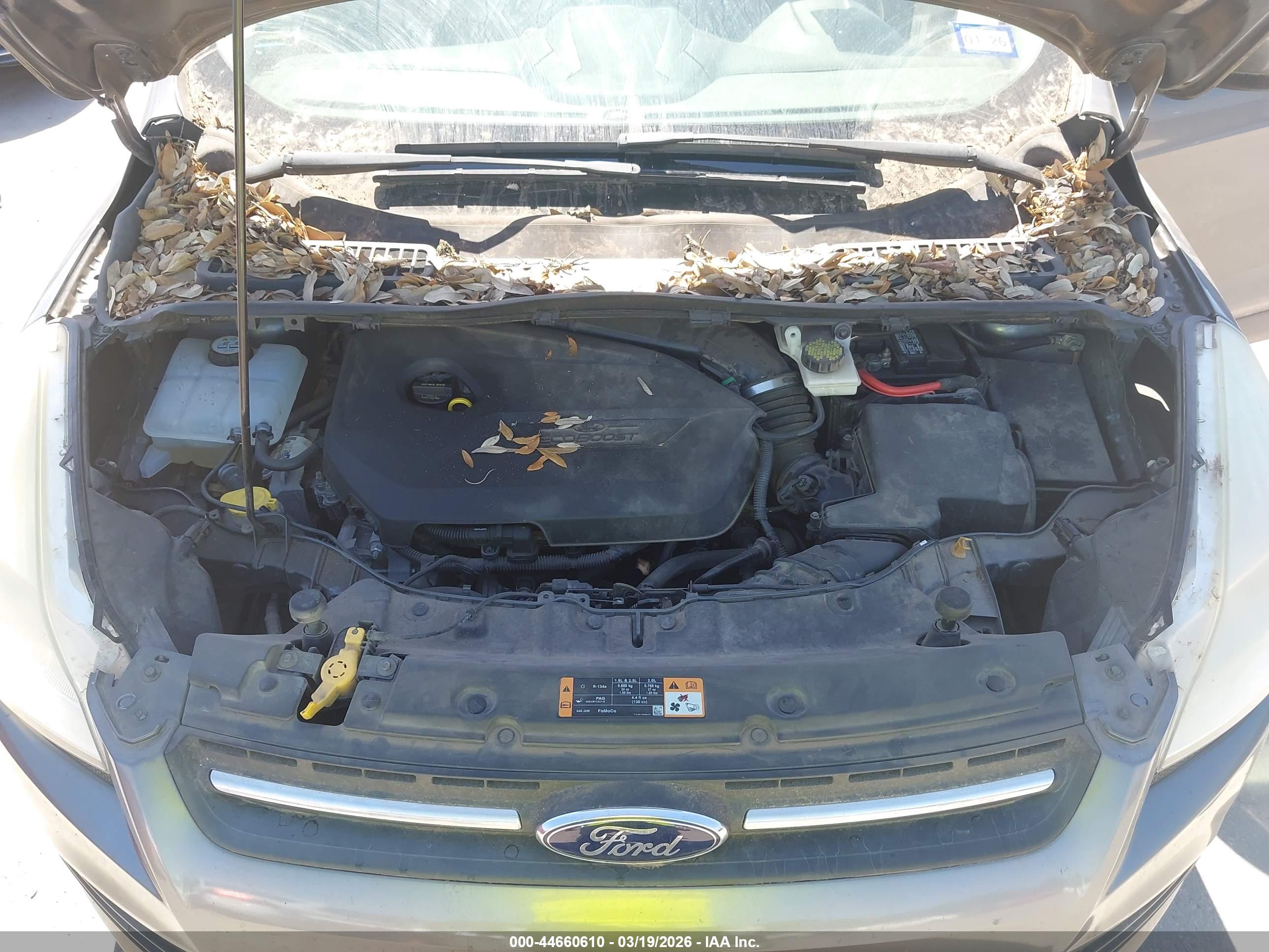 FORD ESCAPE image 10
